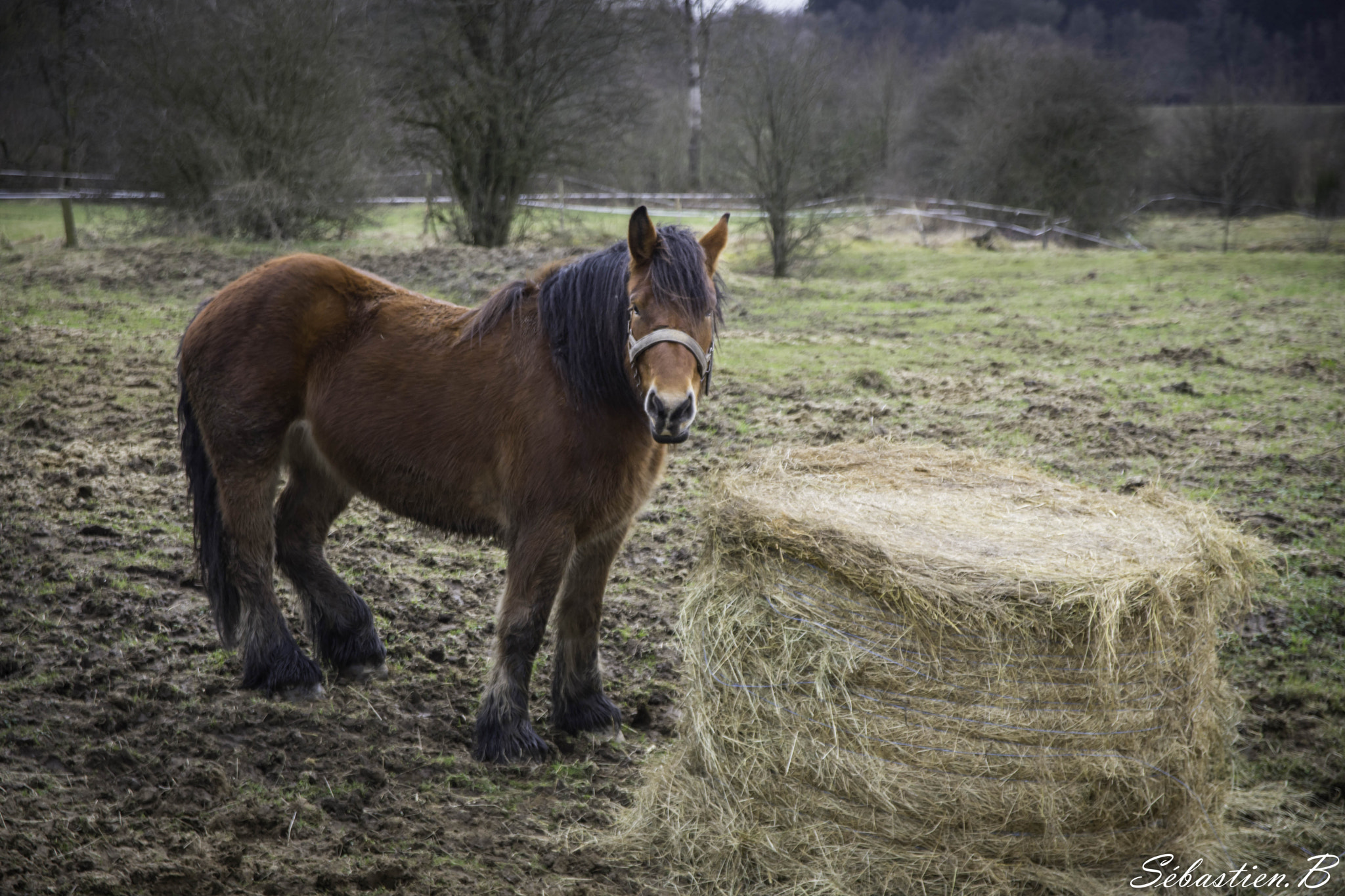 Nikon D7200 + Sigma 17-70mm F2.8-4 DC Macro OS HSM | C sample photo. Dsc photography