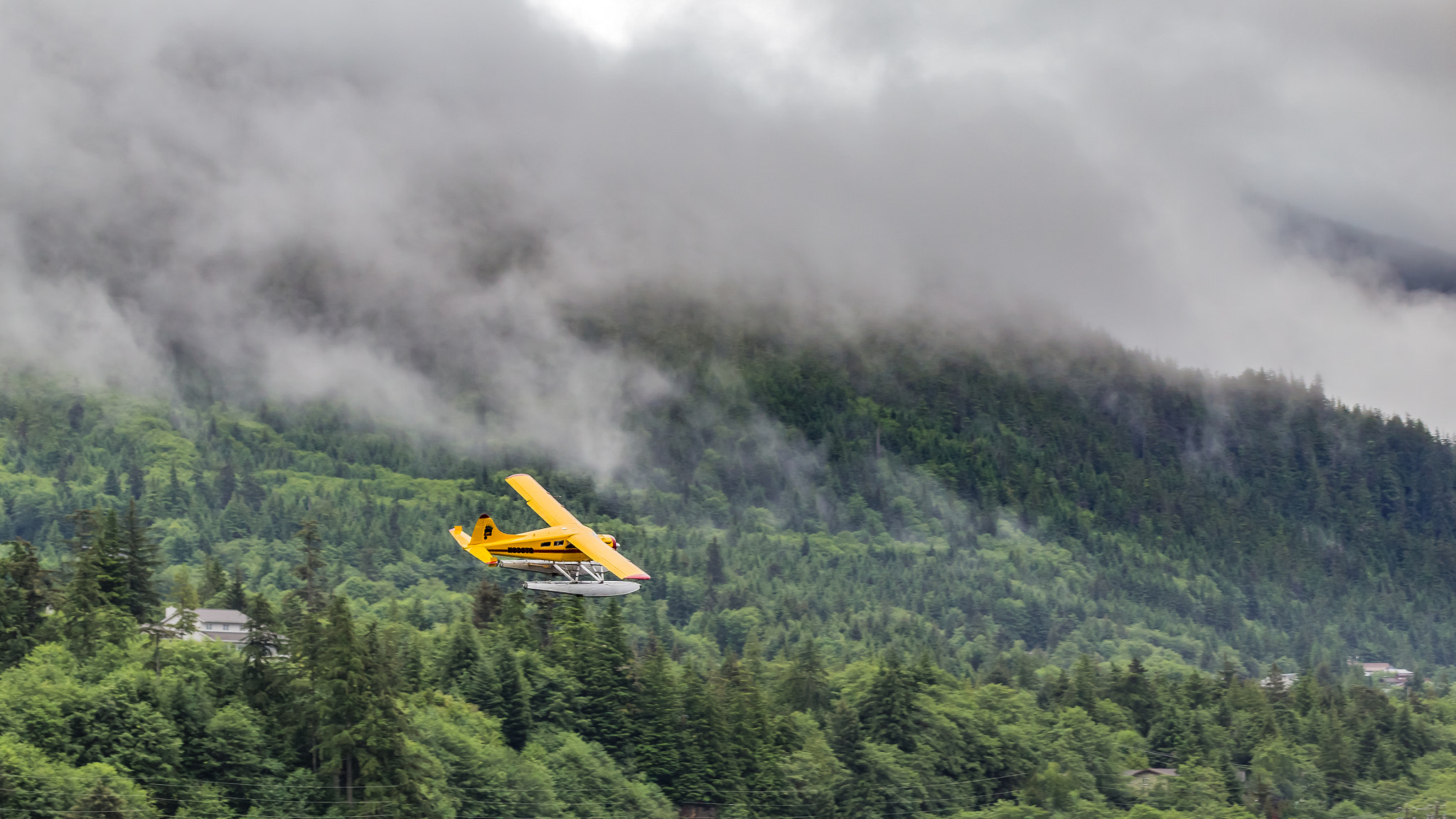 Canon EOS 600D (Rebel EOS T3i / EOS Kiss X5) sample photo. Yellow bush plane photography