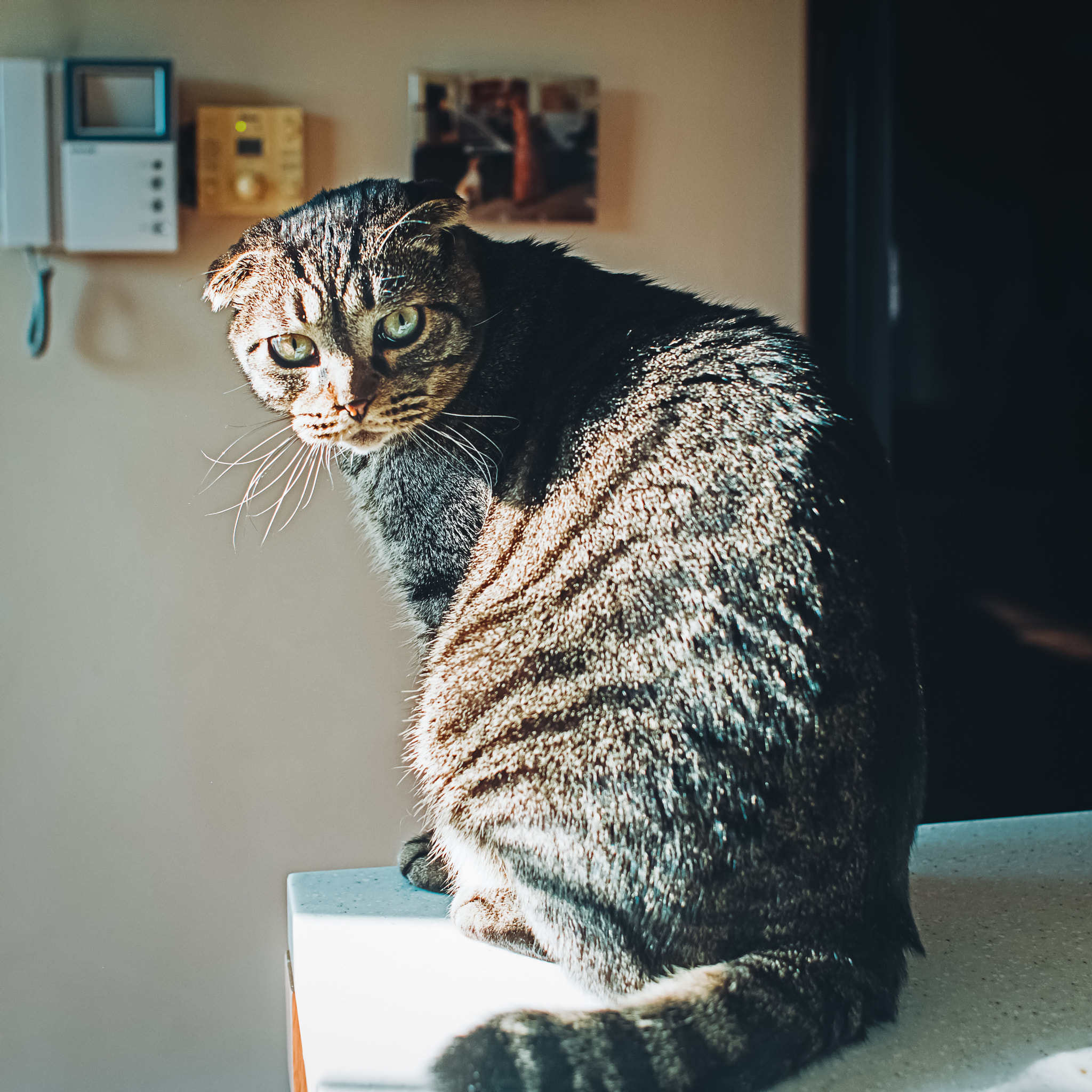 Canon EOS 6D + Canon EF 28mm F1.8 USM sample photo. Looking  photography