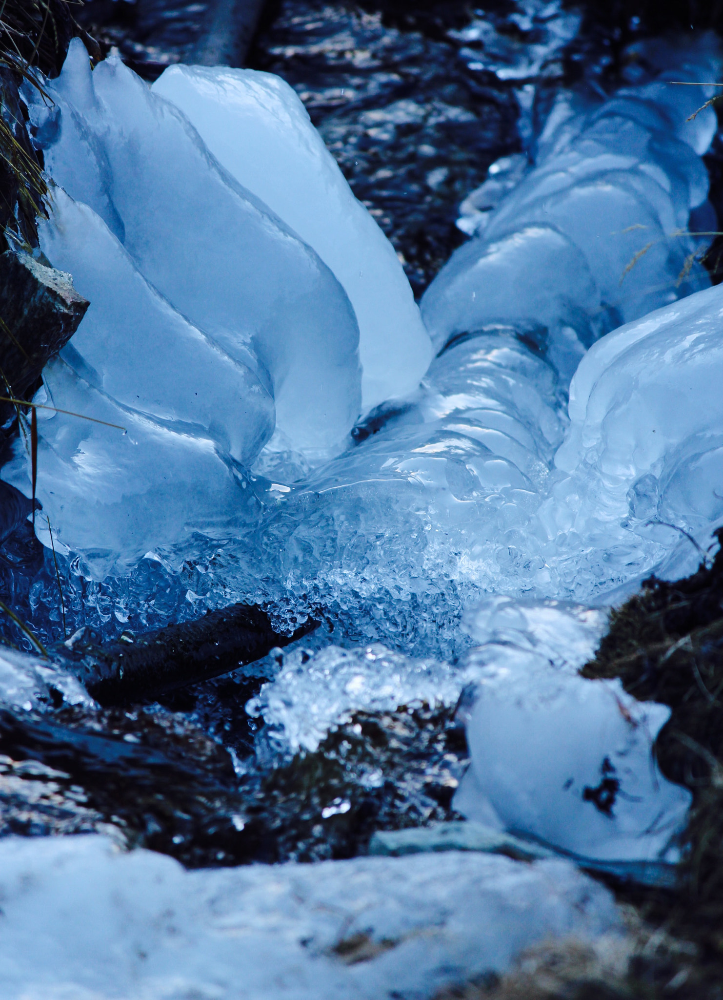 Canon EF-S 55-250mm F4-5.6 IS II sample photo. Icy photography