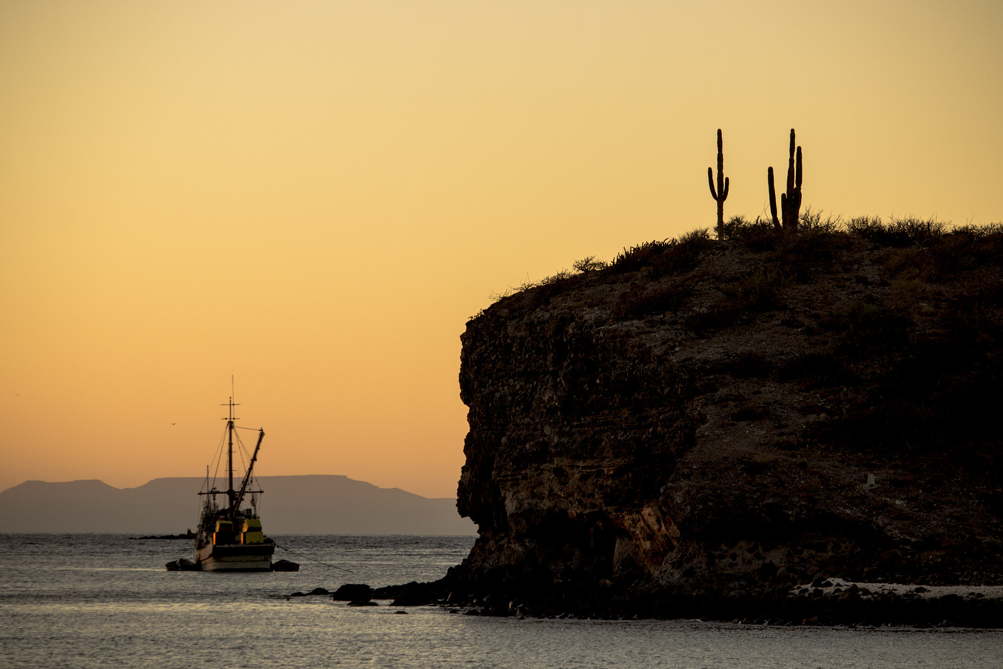 Canon EF-S 55-250mm F4-5.6 IS STM sample photo. Cardongaviota photography