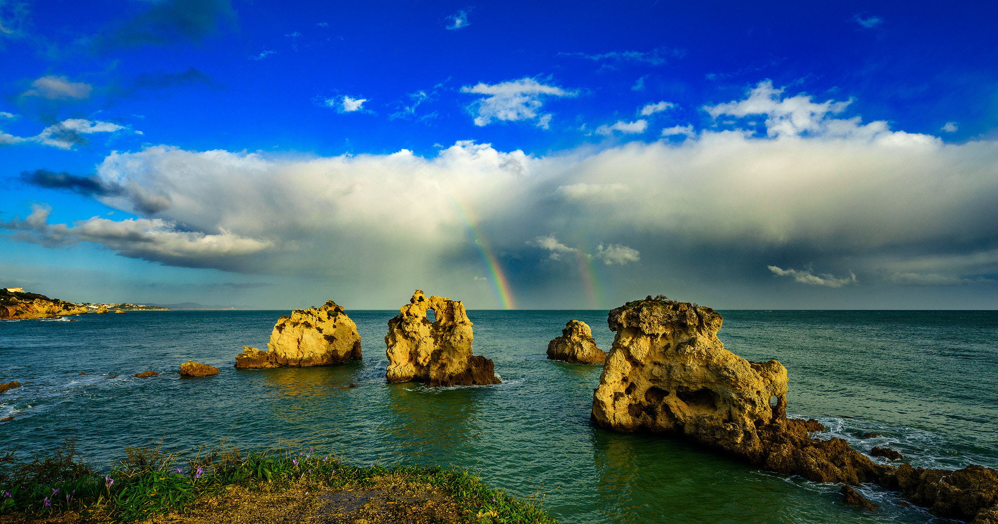 Sony a7R + Canon TS-E 17mm F4L Tilt-Shift sample photo. Passing storm photography