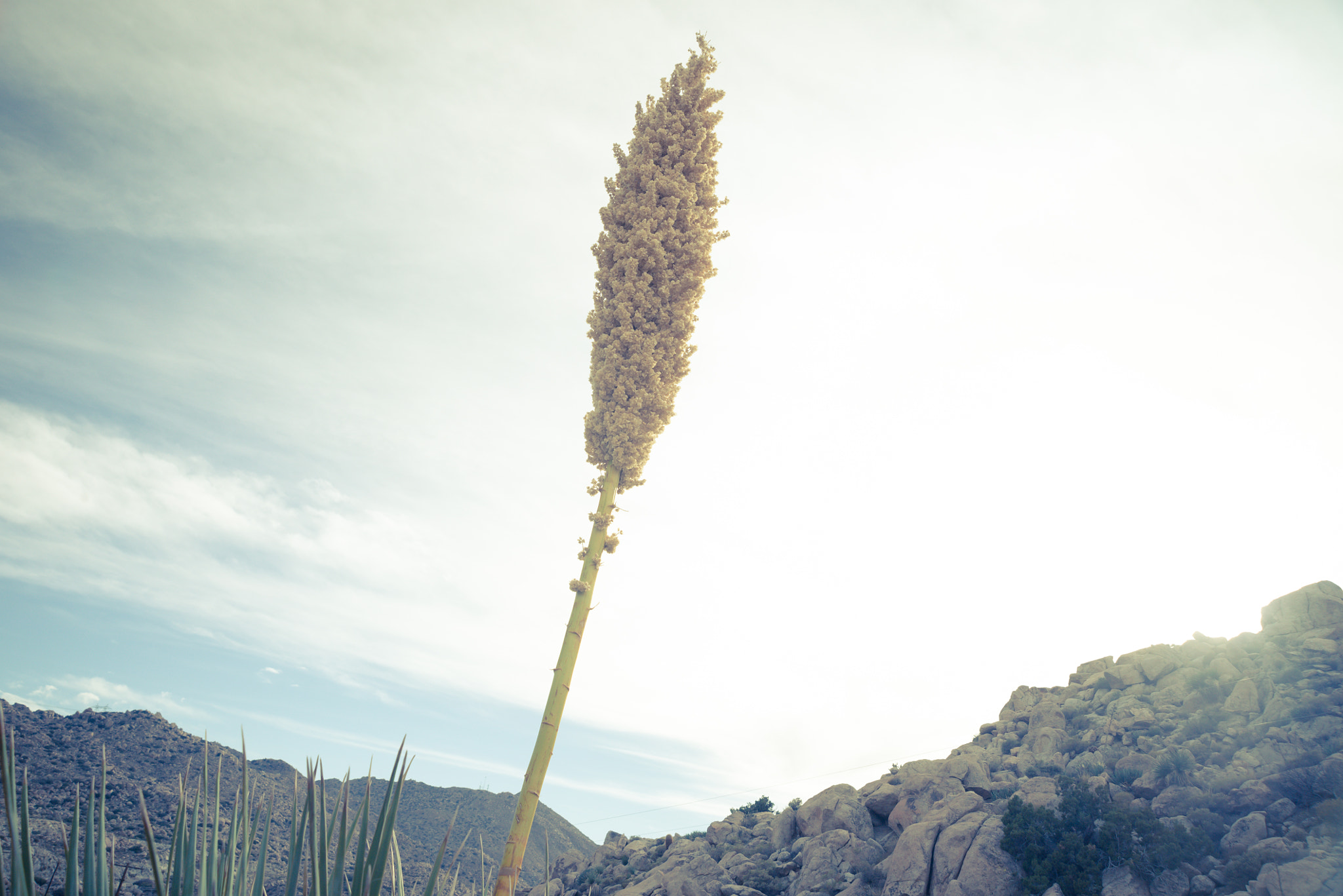 AF Zoom-Nikkor 24-120mm f/3.5-5.6D IF sample photo. California desert landscape photography