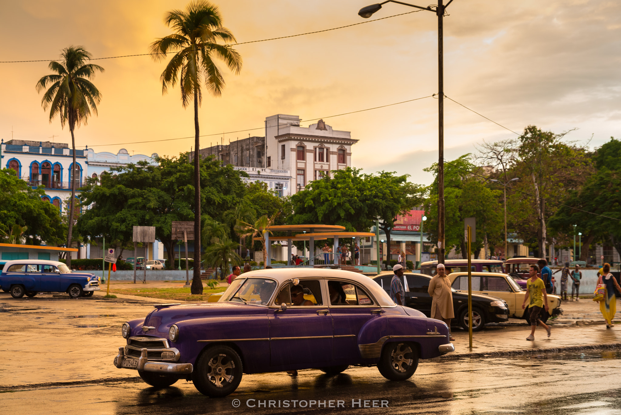 Nikon D610 sample photo. After the rain photography