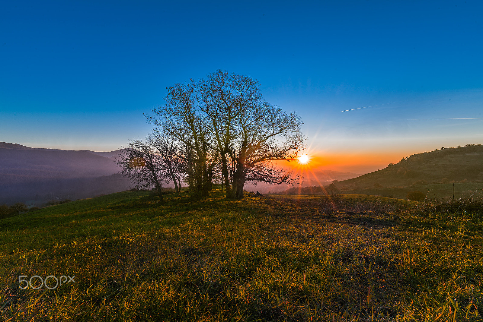 Tamron SP 15-30mm F2.8 Di VC USD sample photo. The trees and the sun photography