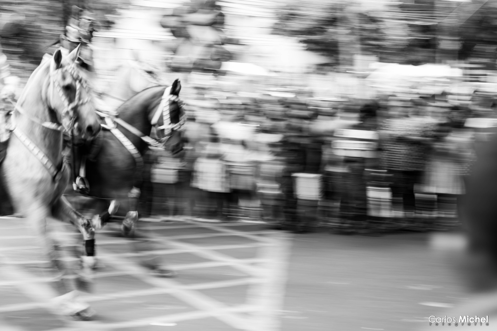 Nikon D5200 + Nikon AF Nikkor 50mm F1.8D sample photo. Sem título photography