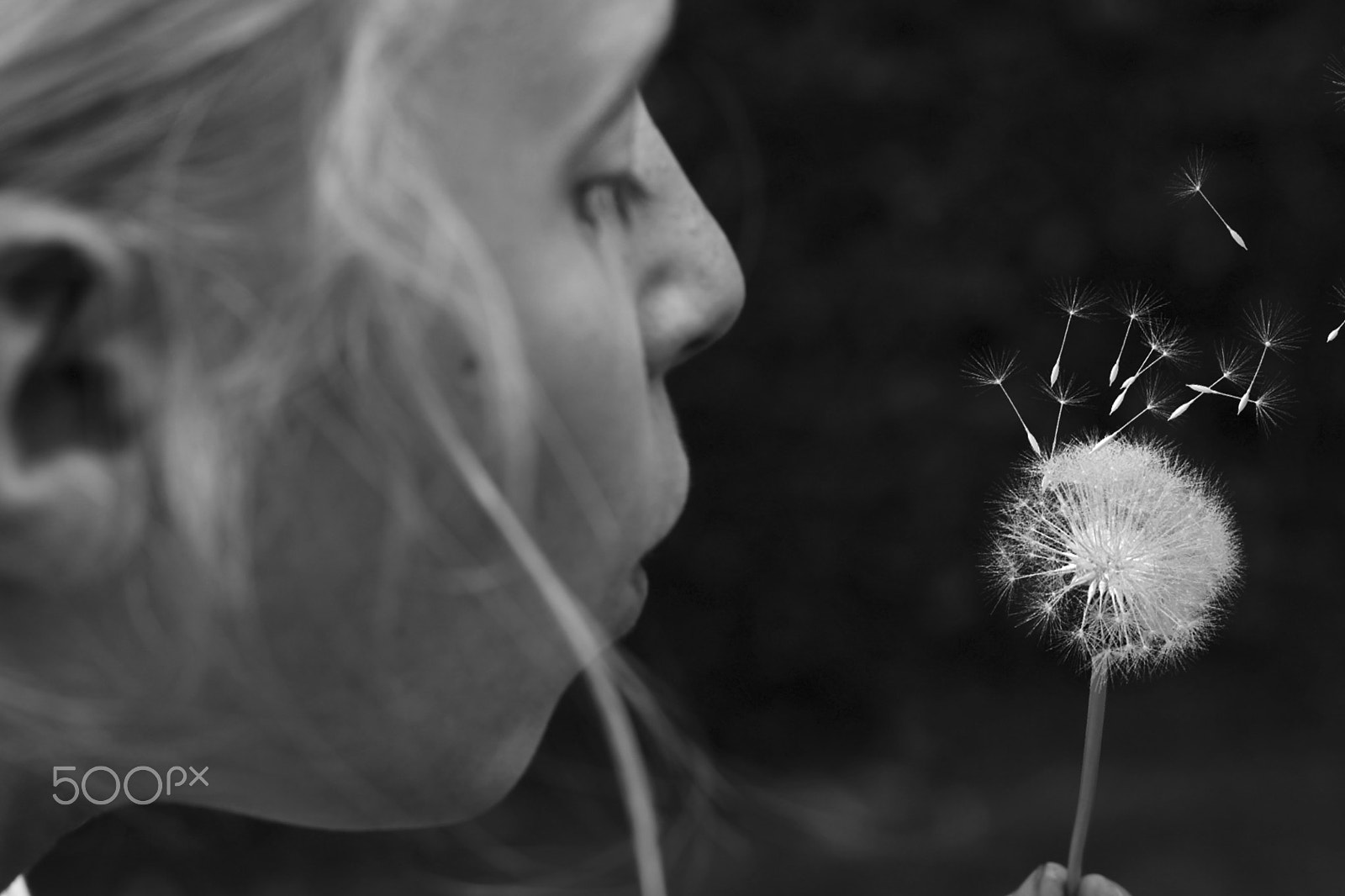 Canon EOS 1100D (EOS Rebel T3 / EOS Kiss X50) sample photo. Black and white photography