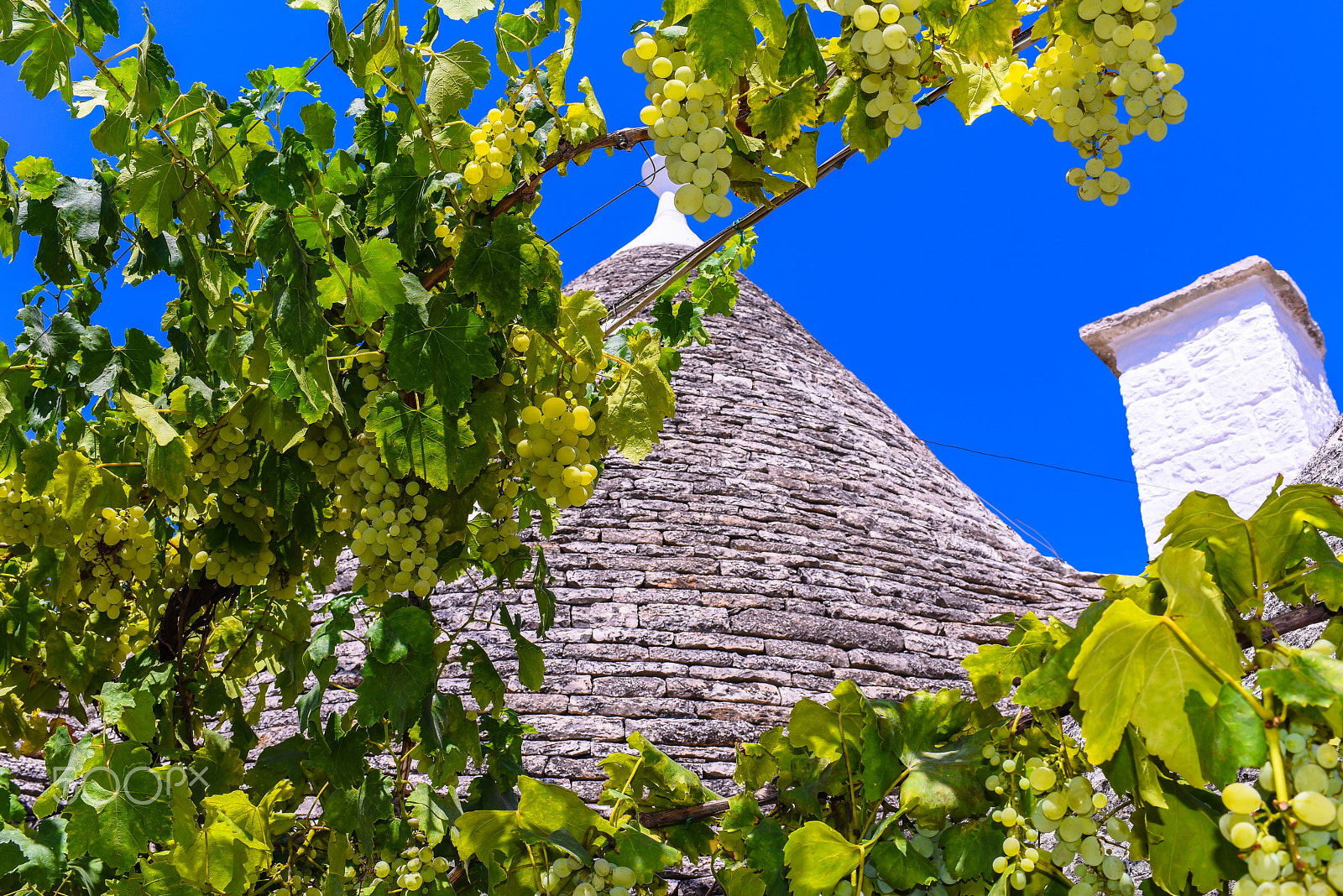 Nikon AF-S Nikkor 35mm F1.8G ED sample photo. The essence of apulia photography