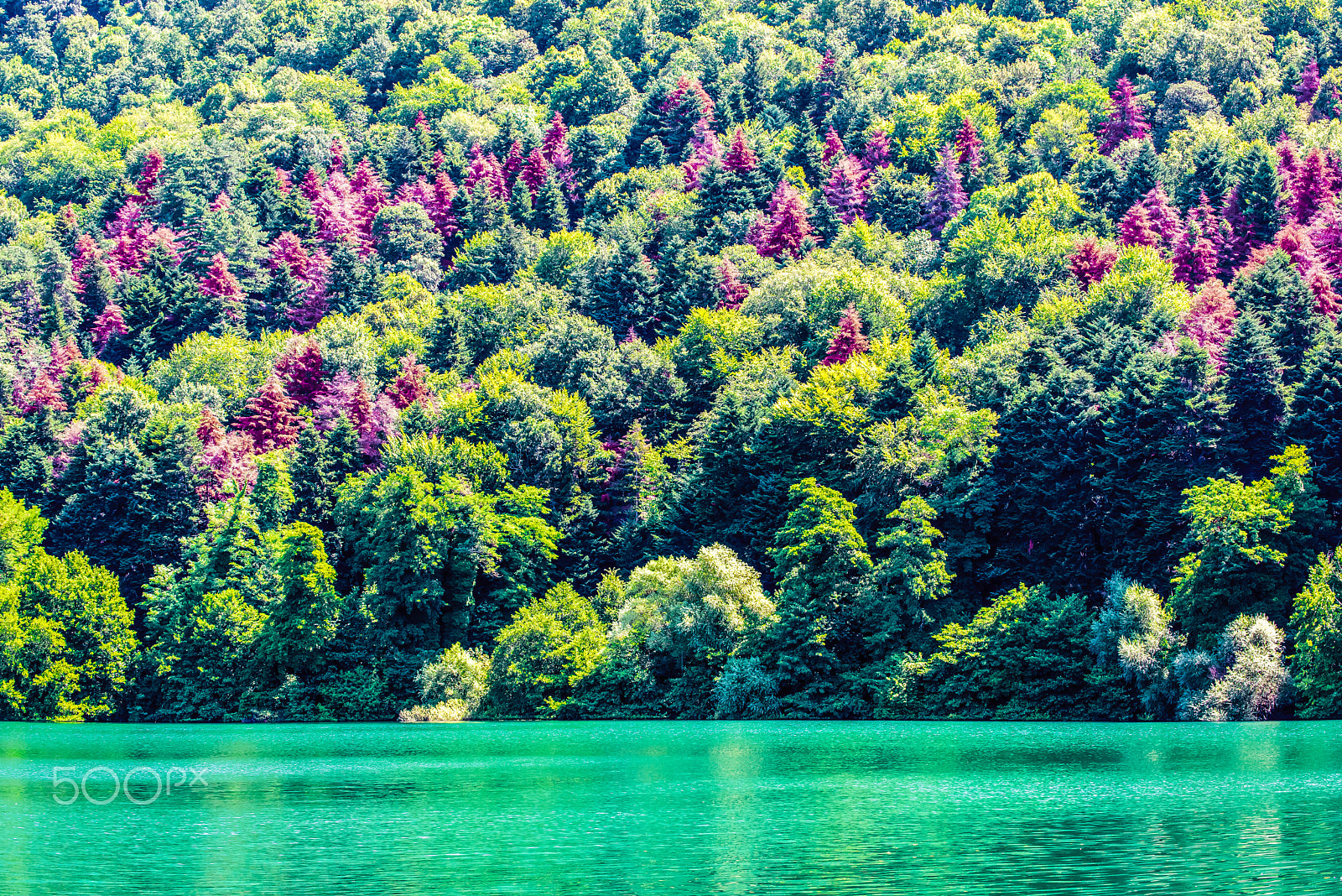 Nikon D810 + Tamron SP 70-300mm F4-5.6 Di VC USD sample photo. Monticchio laghi - peace and color photography