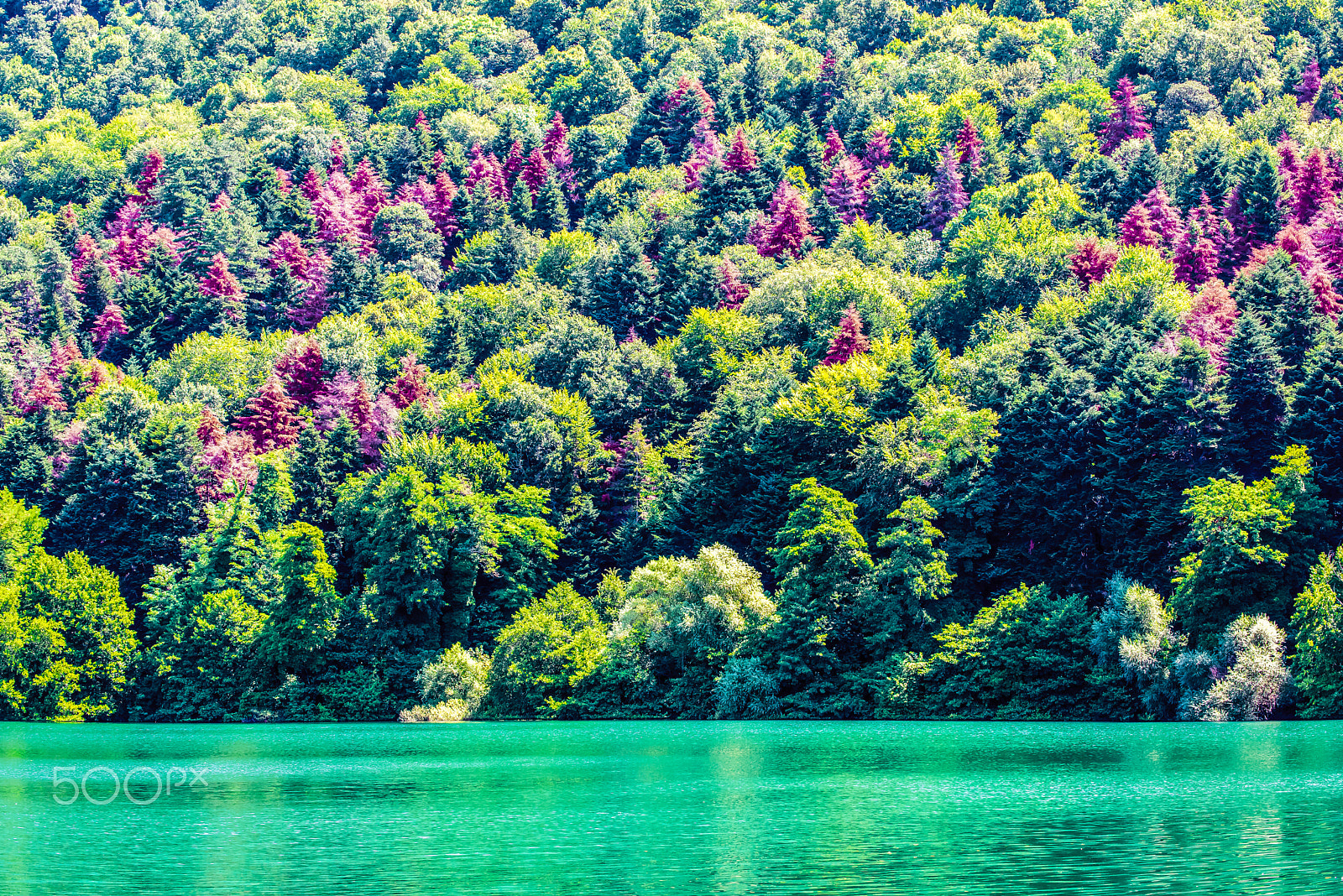 Nikon D810 sample photo. Monticchio laghi - peace and color photography