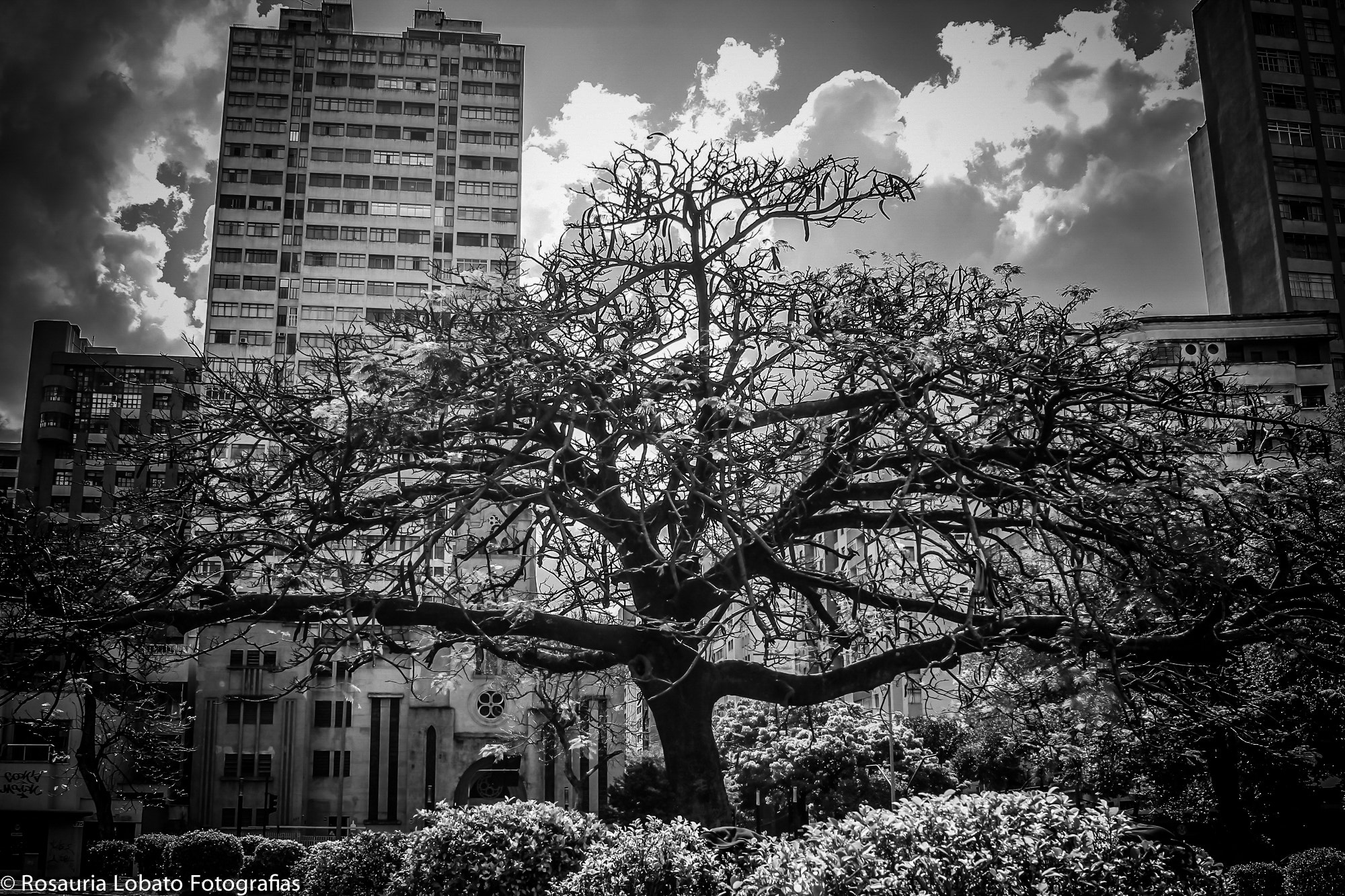 Canon EOS 60D + Canon EF 24-70mm F2.8L USM sample photo. Praça raul soares.jpg photography