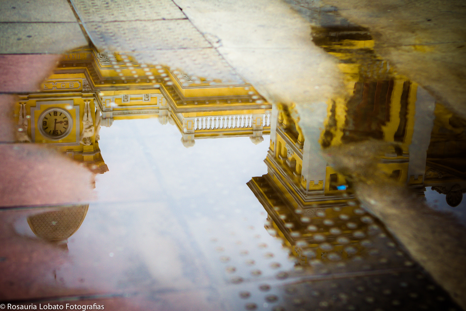 Canon EOS 60D + Canon EF 24-70mm F2.8L USM sample photo. Reflexo photography