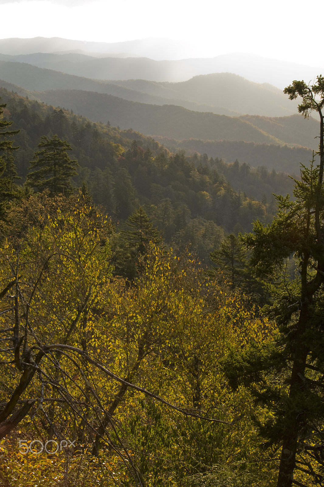 Canon EOS 5D + Canon EF 100-400mm F4.5-5.6L IS USM sample photo. Autumn, great smoky mountains np photography