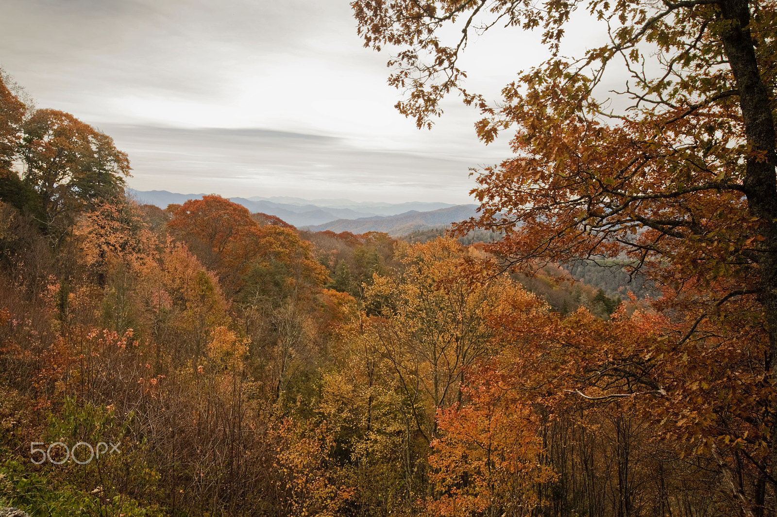 Canon EOS 5D + Canon EF 16-35mm F2.8L USM sample photo. Autumn color, great smoky mountains np photography