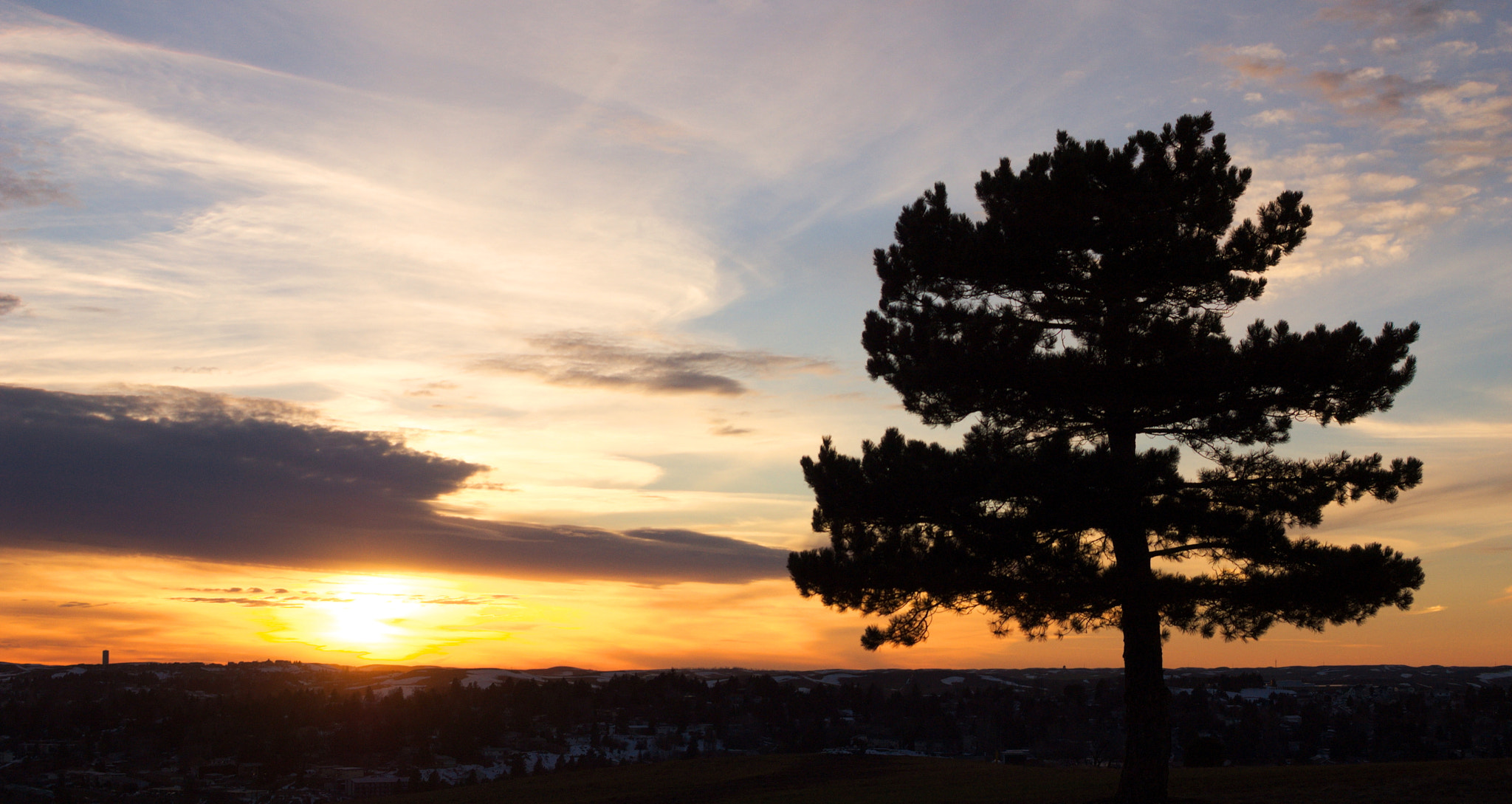 Nikon D100 sample photo. A tree's shadow.jpg photography