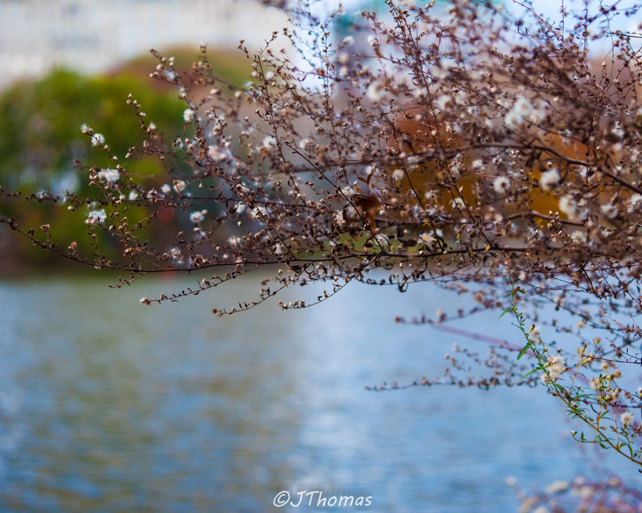 Nikon AF-S Nikkor 24-70mm F2.8E ED VR sample photo. Dsc photography