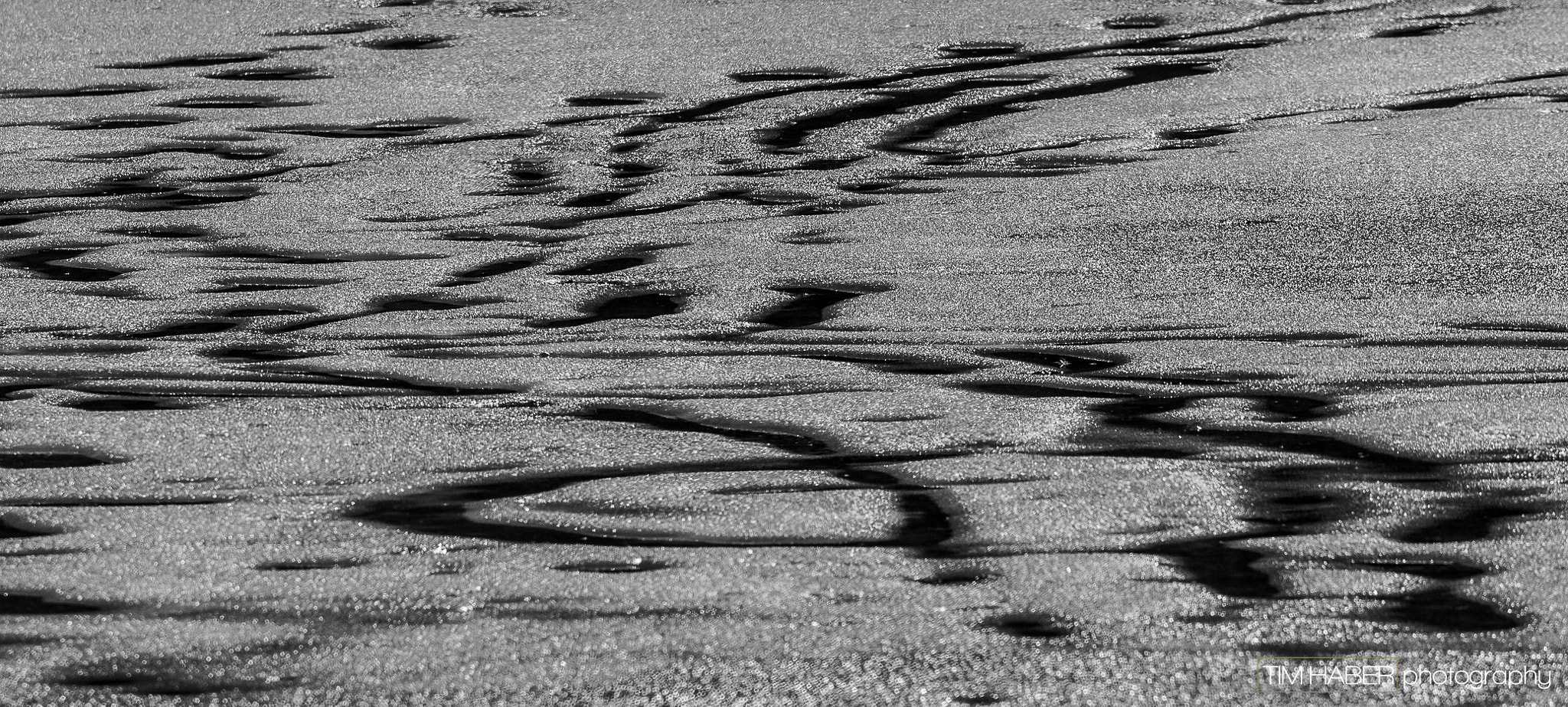 Sigma 150-600mm F5-6.3 DG OS HSM | C sample photo. Tracks photography
