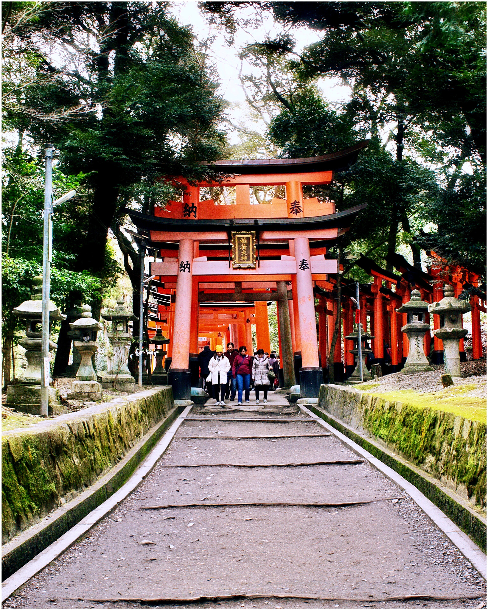 Canon EOS 500D (EOS Rebel T1i / EOS Kiss X3) sample photo. Fushimi inari taisha photography