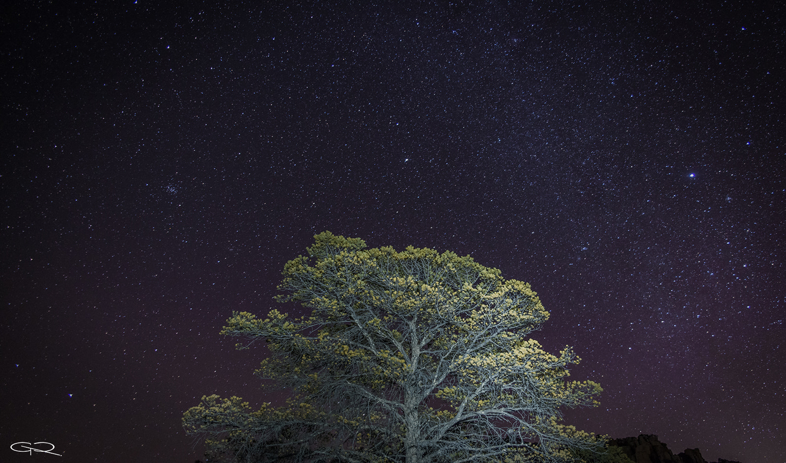 Nikon D800 + Sigma 24-70mm F2.8 EX DG HSM sample photo. Raíz del universo photography