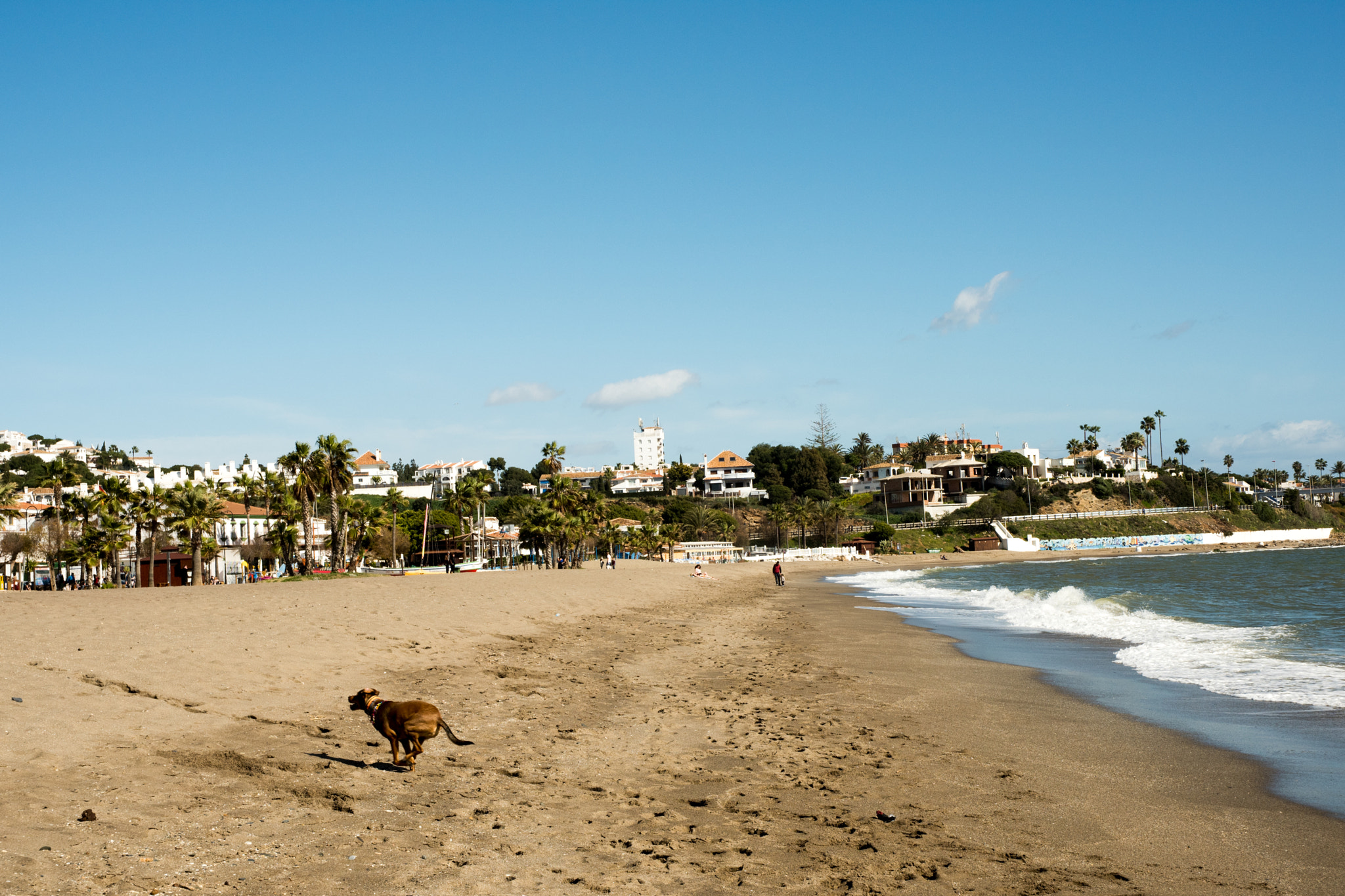 Nikon D810 sample photo. Beach run photography