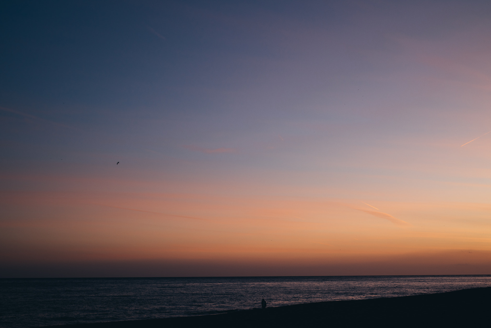 Nikon D810 + Nikon AF Nikkor 50mm F1.8D sample photo. Sunset beach walk photography