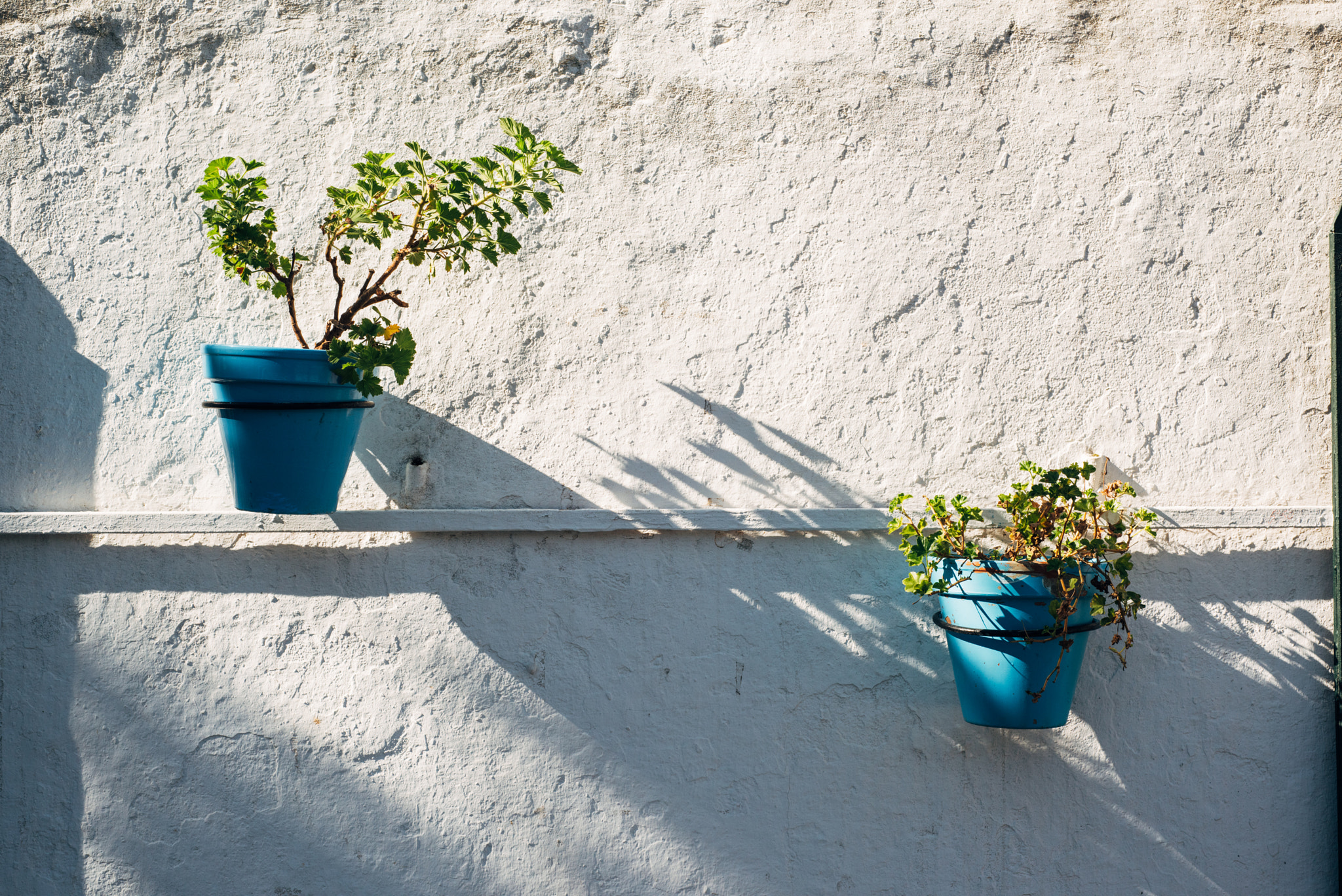 Nikon D810 + Nikon AF Nikkor 50mm F1.8D sample photo. Spanish style flower pots photography