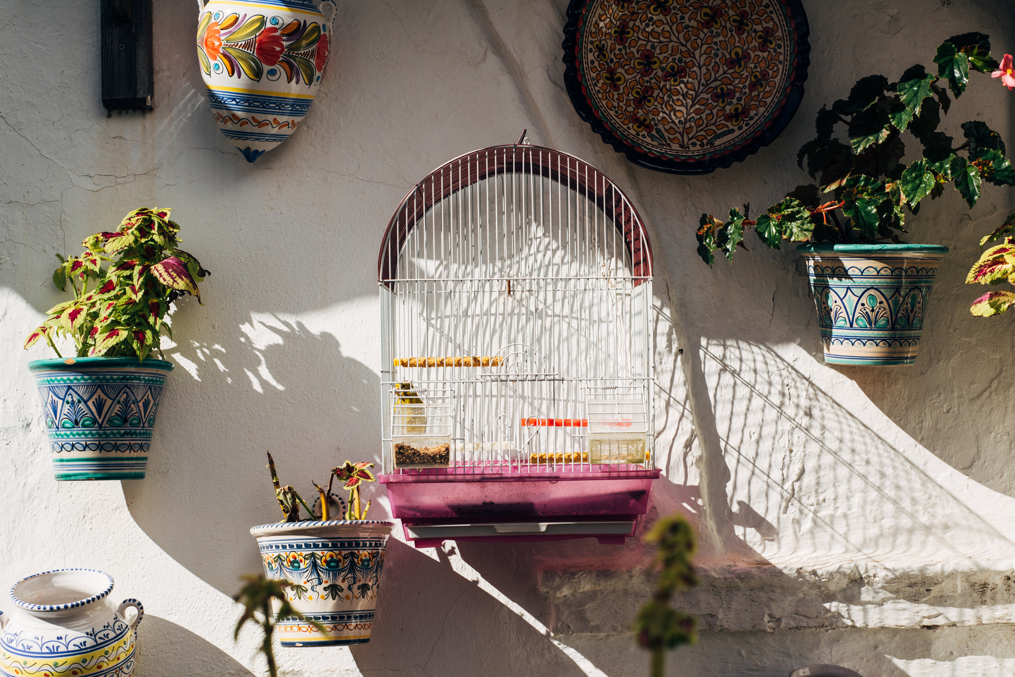Nikon D810 + Nikon AF Nikkor 50mm F1.8D sample photo. Bird cage photography