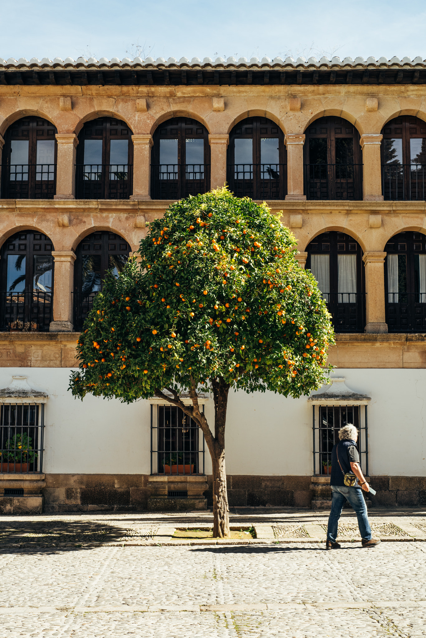 Nikon D810 + Nikon AF Nikkor 50mm F1.8D sample photo. Orange trees ronda photography