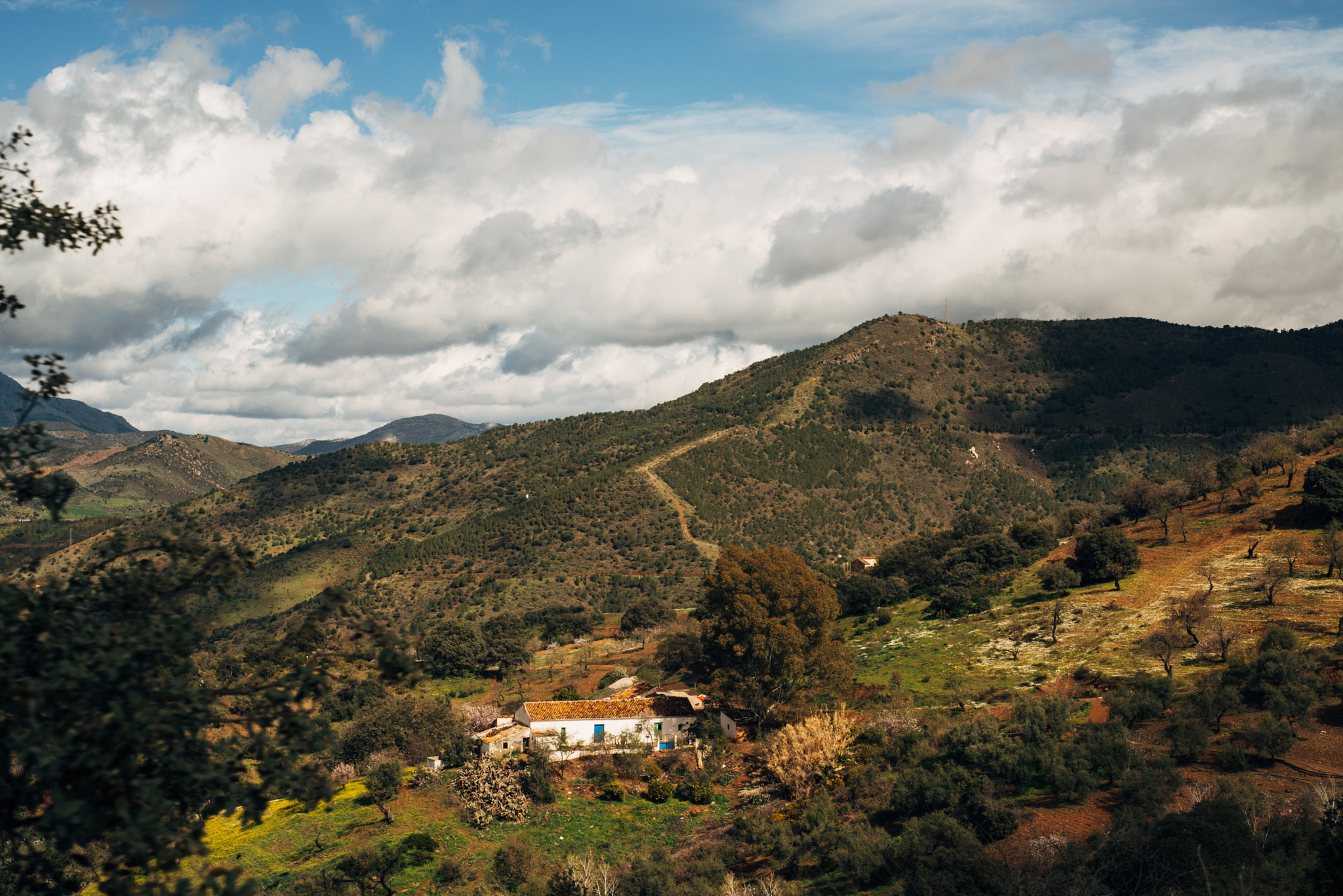 Nikon D810 + Nikon AF Nikkor 50mm F1.8D sample photo. Casabermeja countryside photography