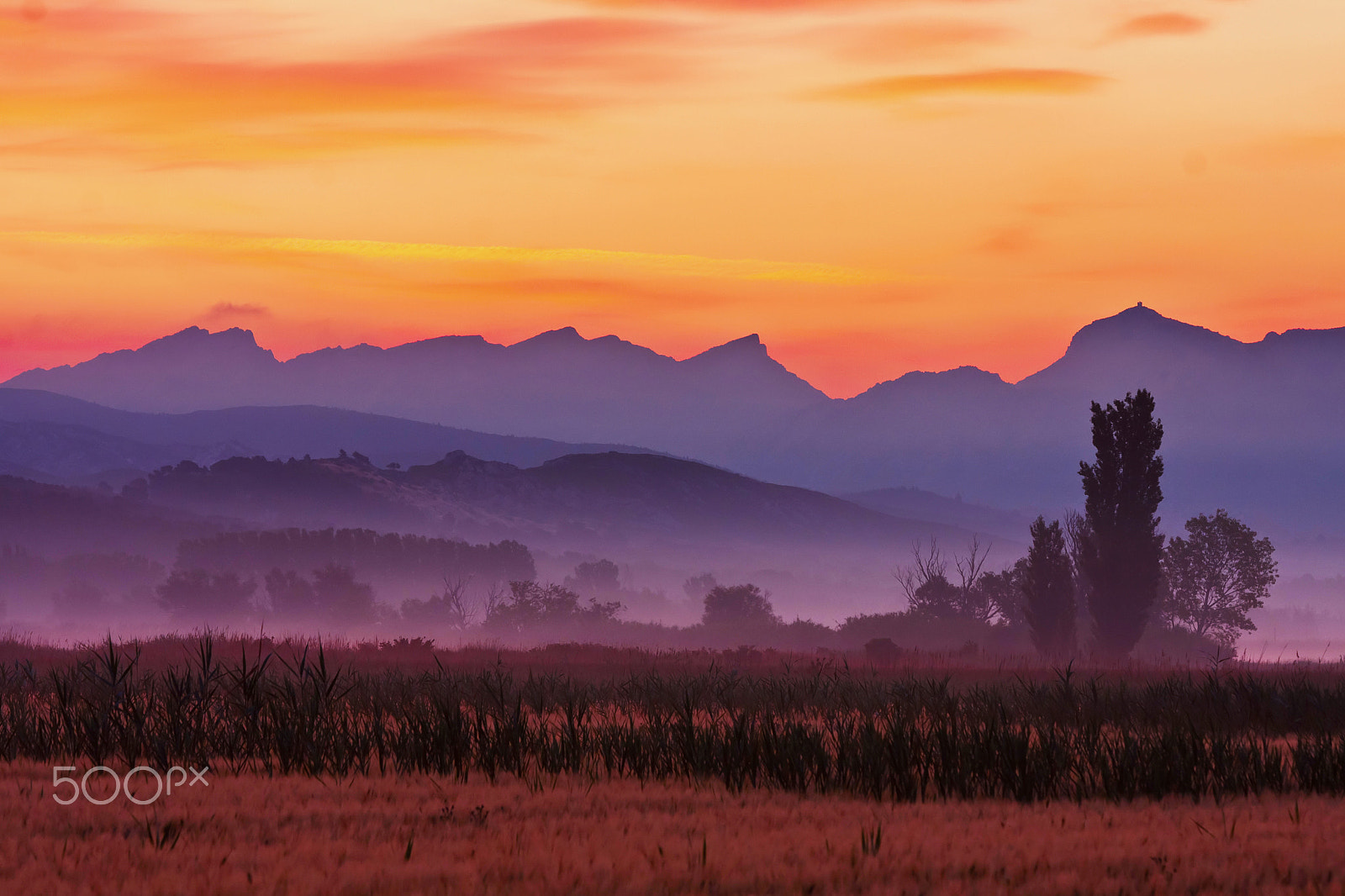 Canon EOS 40D sample photo. Before sunrise at the alpilles in south france photography