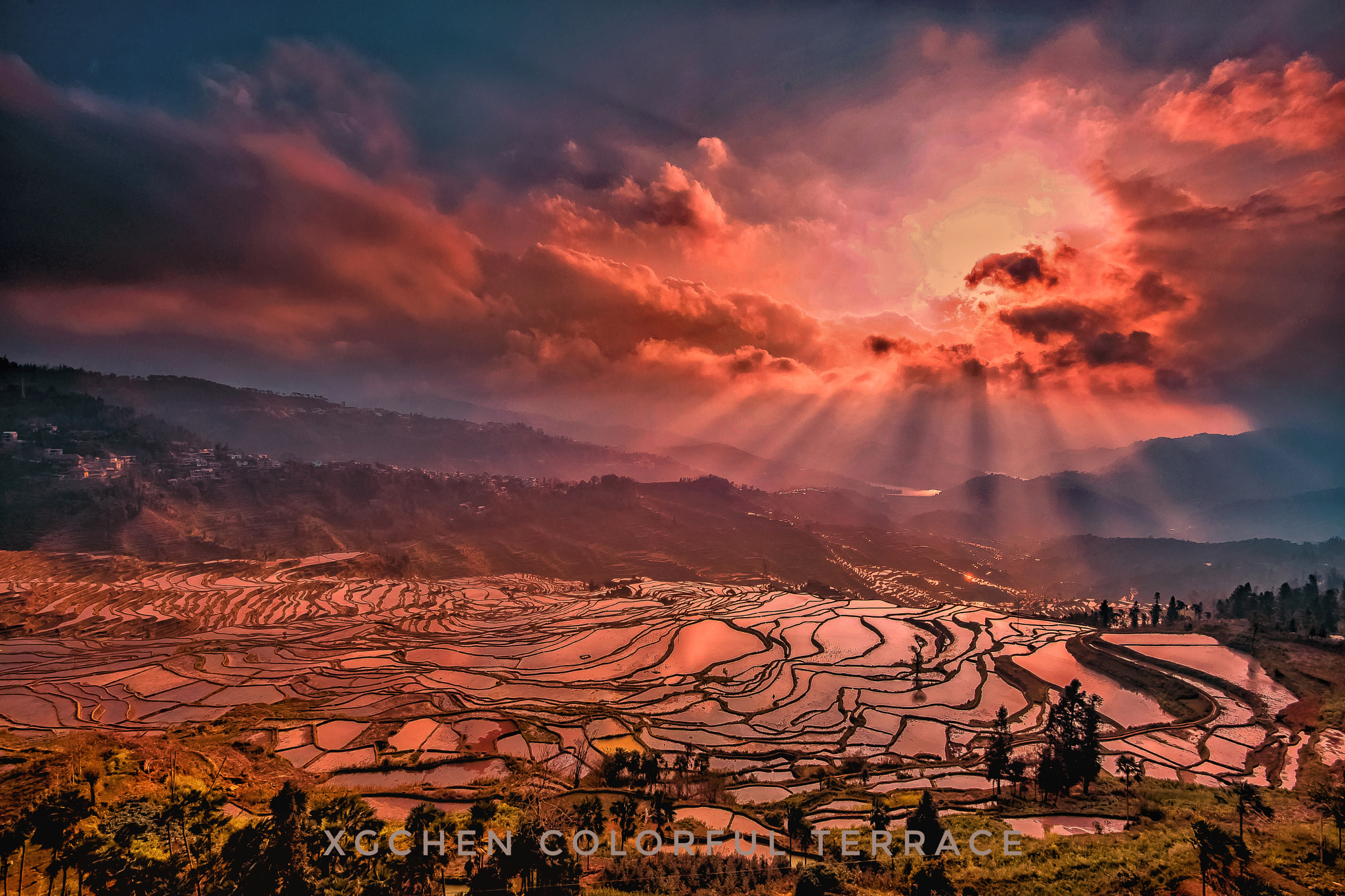 Nikon AF-S Nikkor 16-35mm F4G ED VR sample photo. 金色梯田。 photography