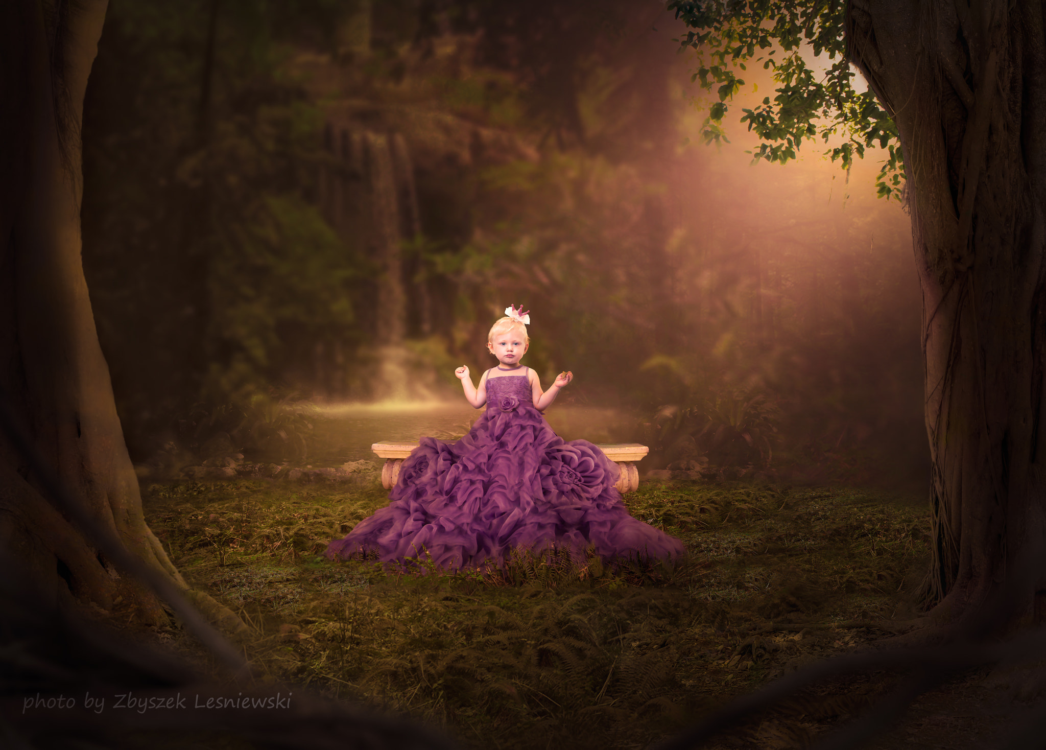 Nikon AF-S Nikkor 24-70mm F2.8G ED sample photo. Princess photography