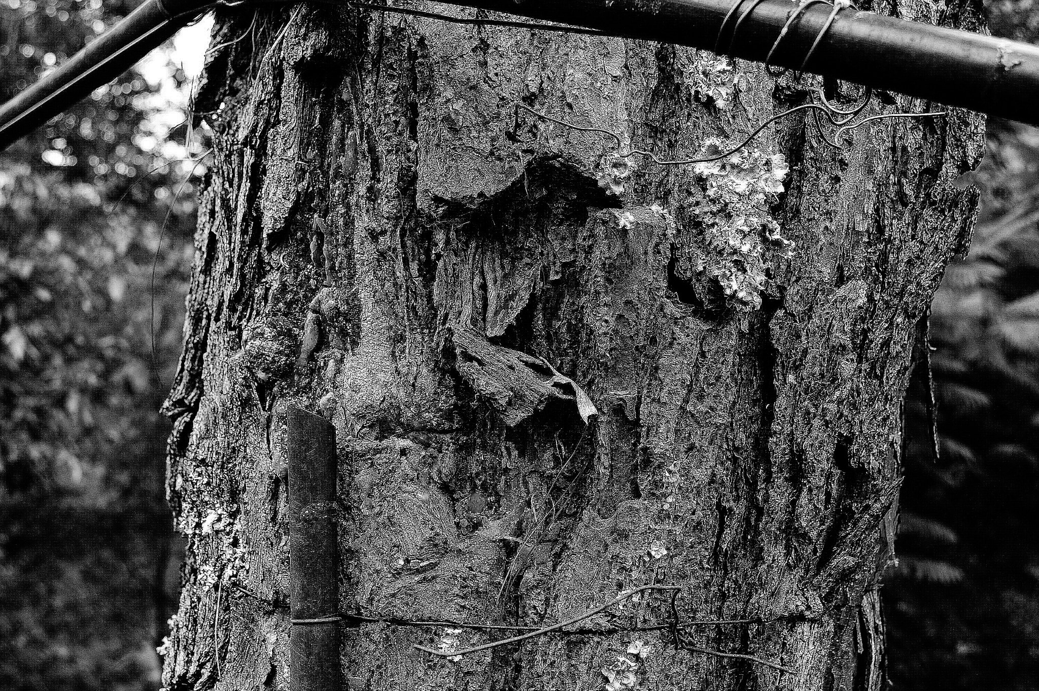 Nikon D70 sample photo. () photography
