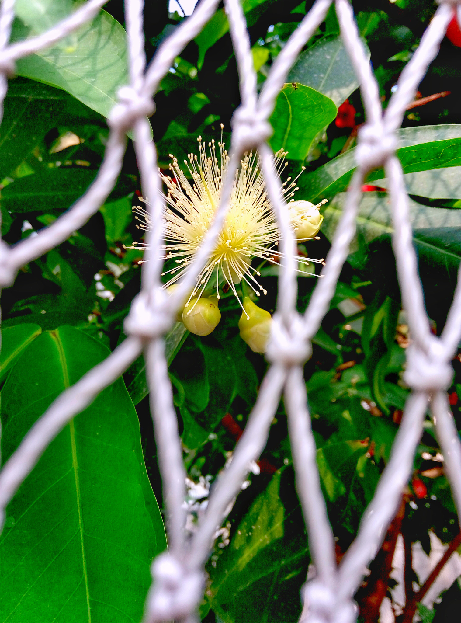 Meizu m1 note sample photo. Where are you photography