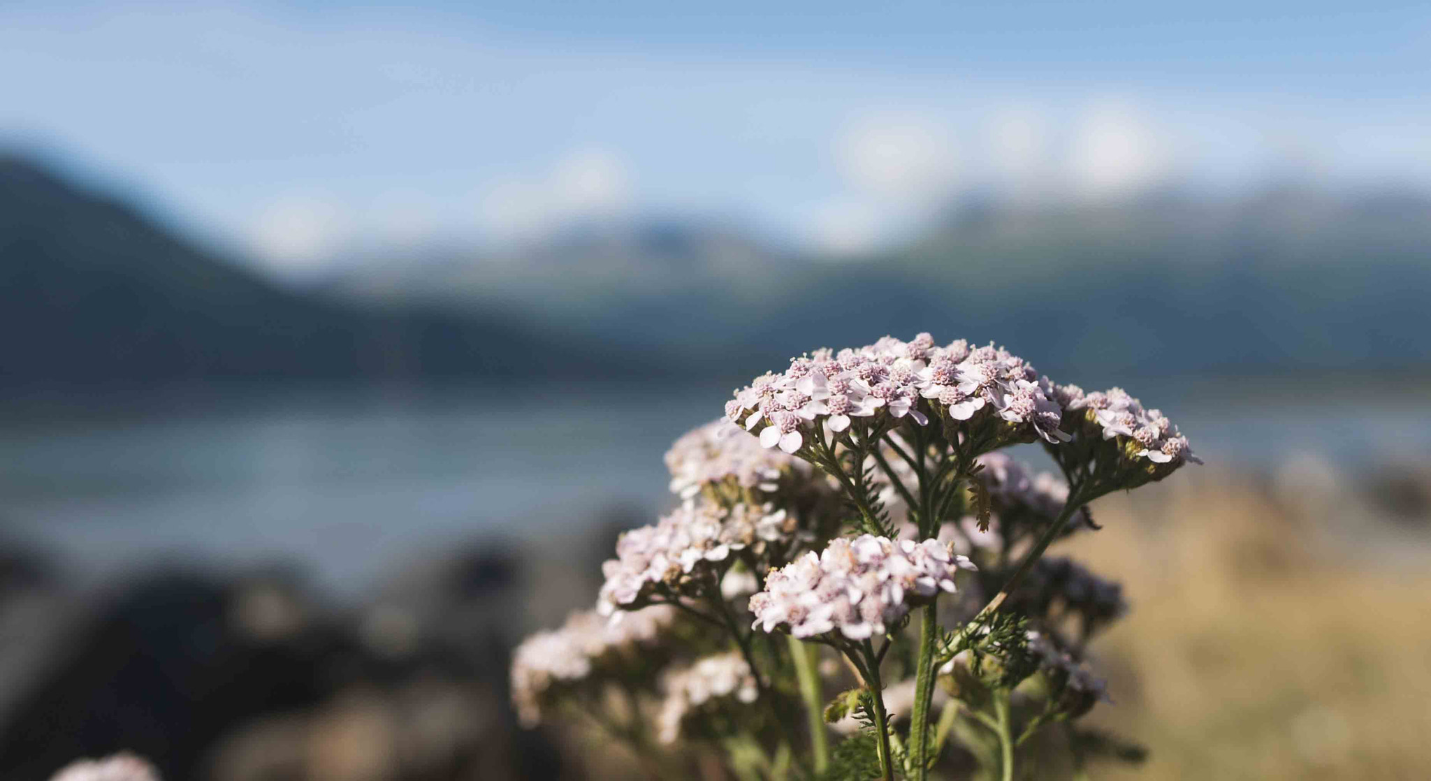 Nikon D90 + Nikon AF-S Nikkor 24mm F1.8G ED sample photo. Turnagain arm photography