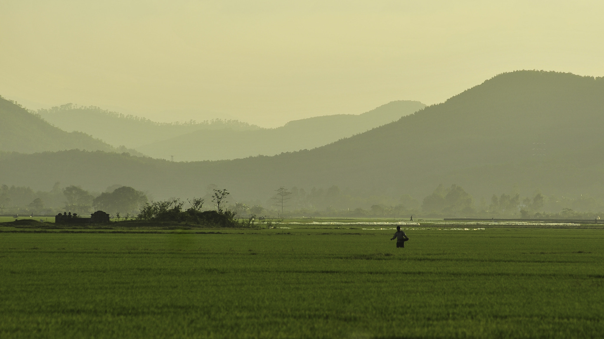 Nikon AF-Nikkor 80-200mm F2.8D ED sample photo. For the new season photography