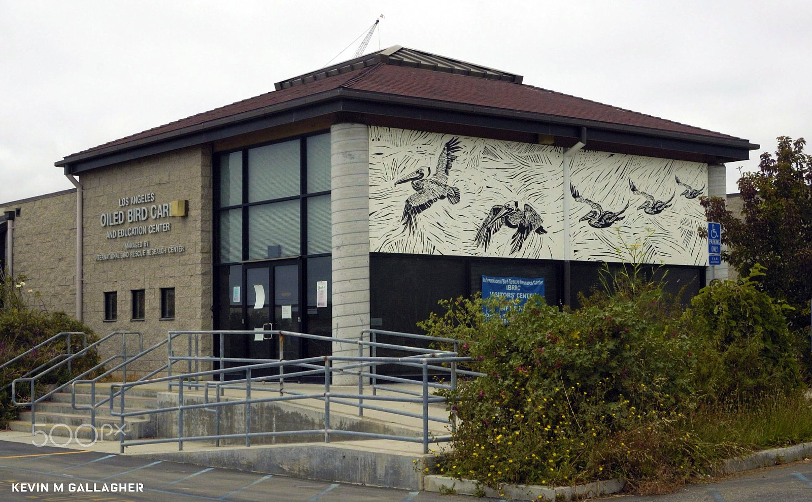 Nikon D70s sample photo. Oiled bird care center o photography