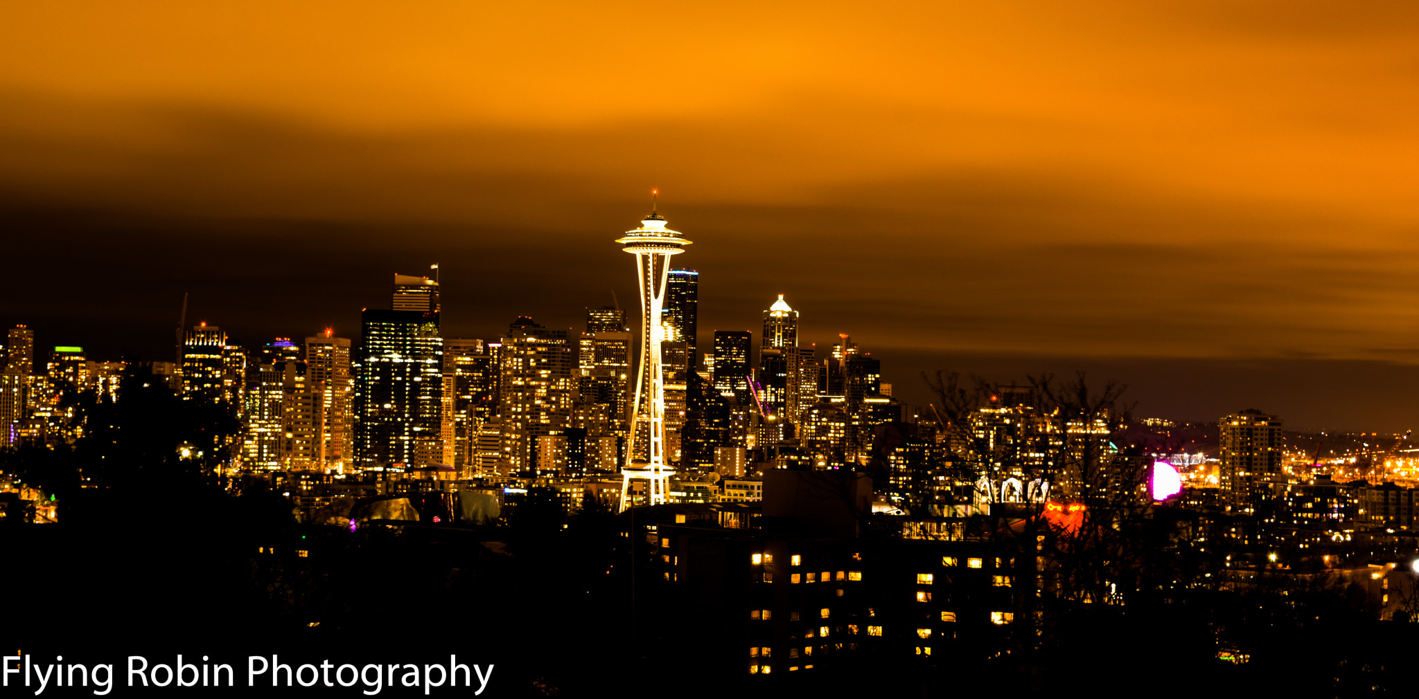 Nikon D7200 sample photo. Space needle seattle, washington usa photography