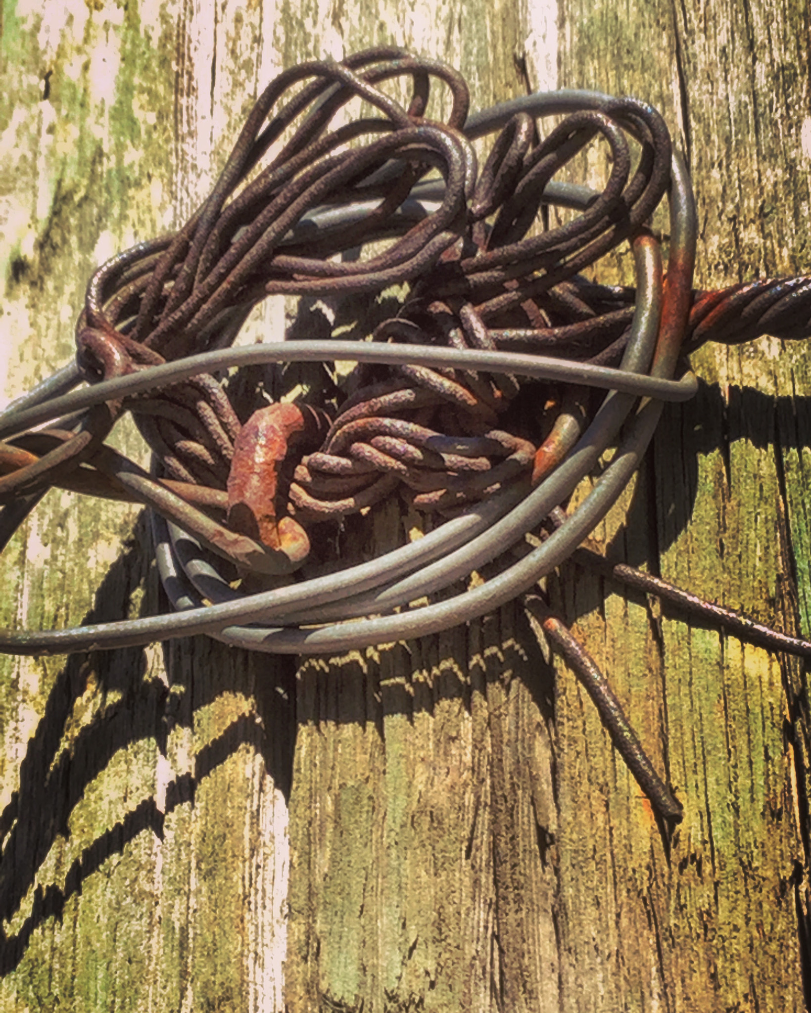 Apple iPad5,3 sample photo. Barbed wire convergence. photography