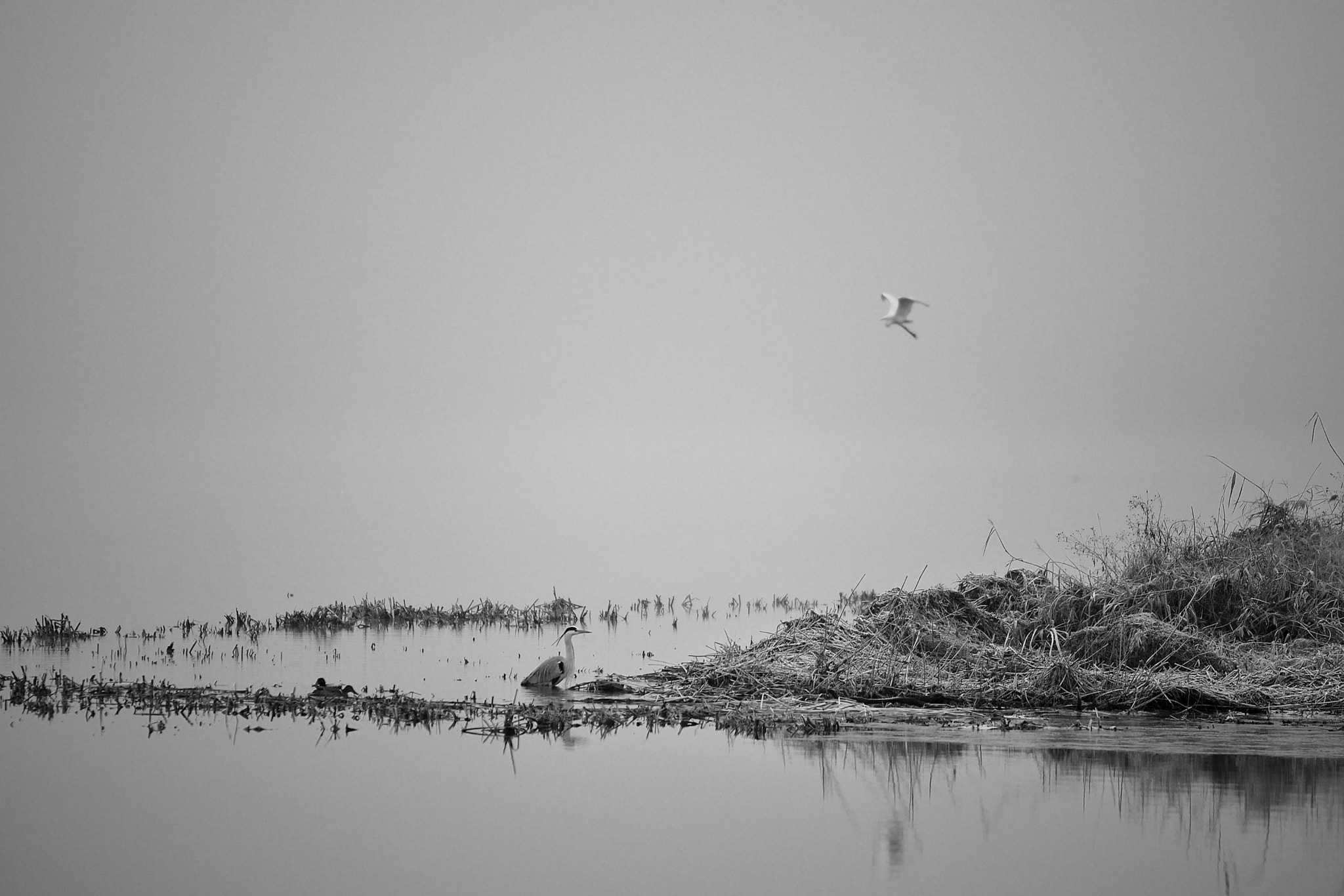 Tamron SP 70-200mm F2.8 Di VC USD sample photo. 16f_9192_1222.jpg photography