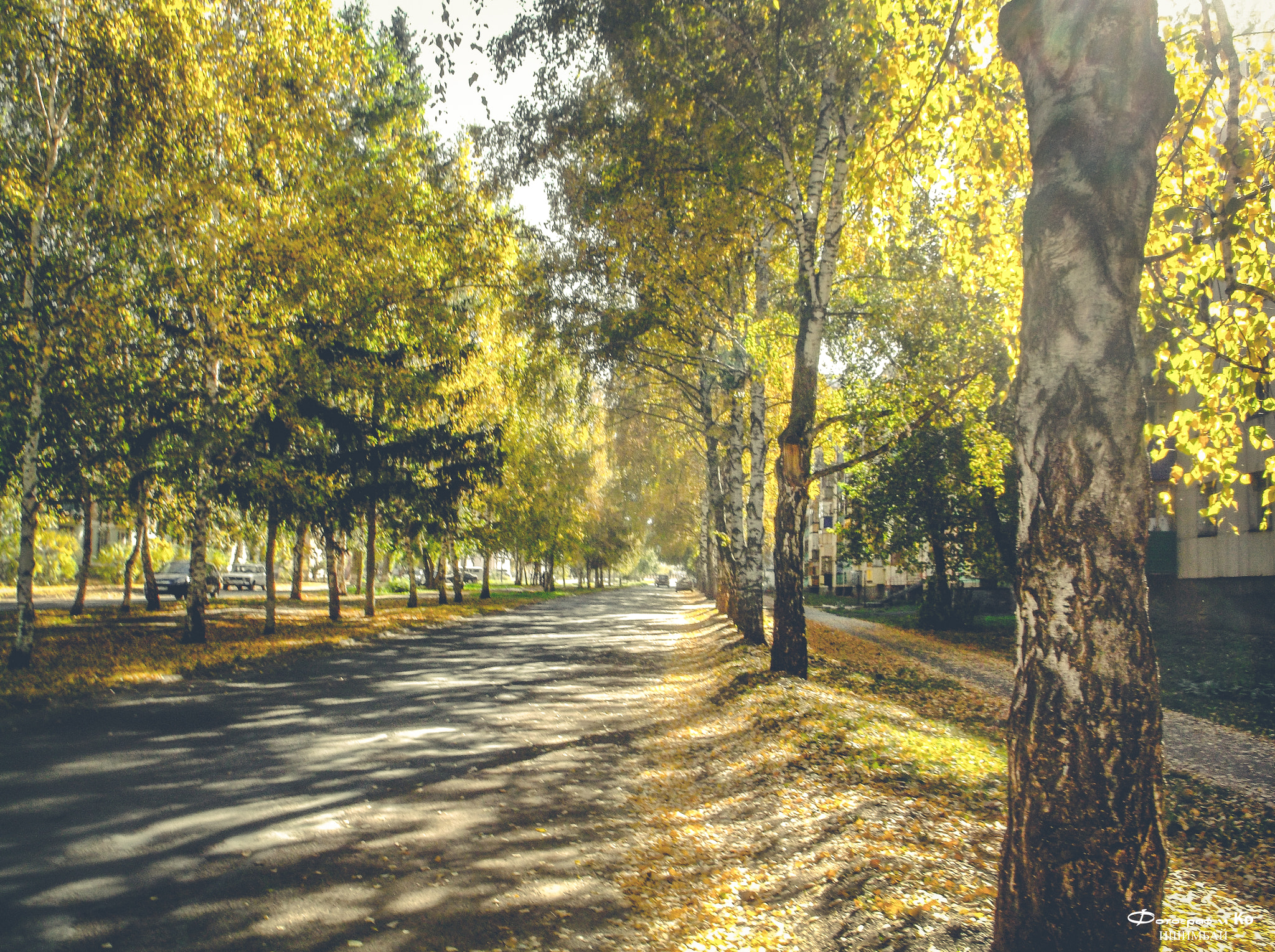 Fujifilm FinePix AX650 sample photo. Autumn photography