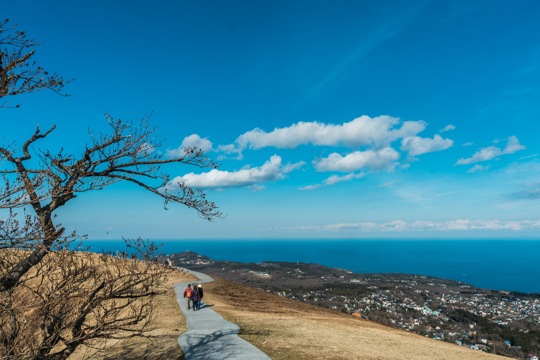 Sony a7 II + Sony FE 24-70mm F2.8 GM sample photo