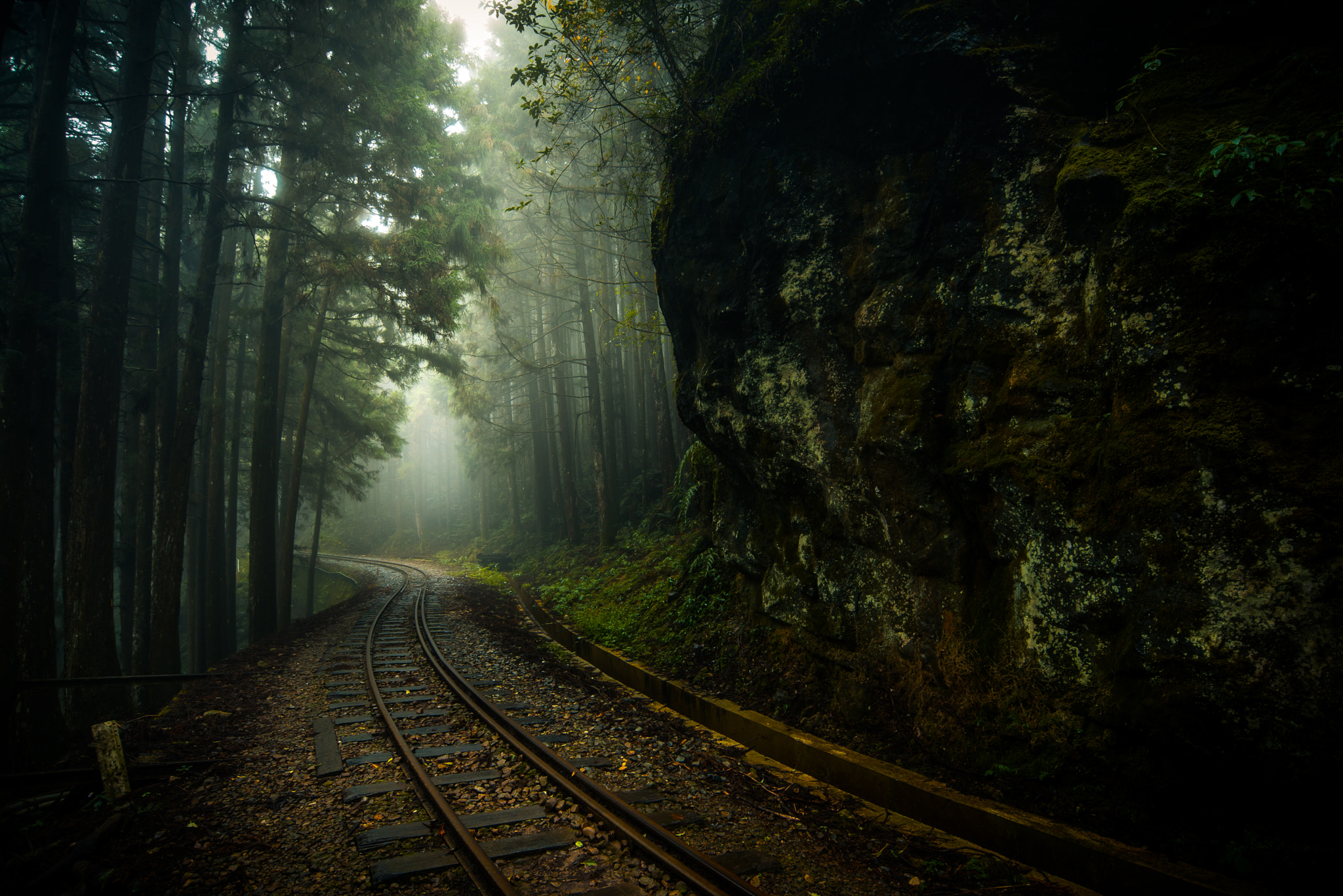 Nikon D600 + Nikon AF-S Nikkor 18-35mm F3.5-4.5G ED sample photo. Mysterious fog railway photography