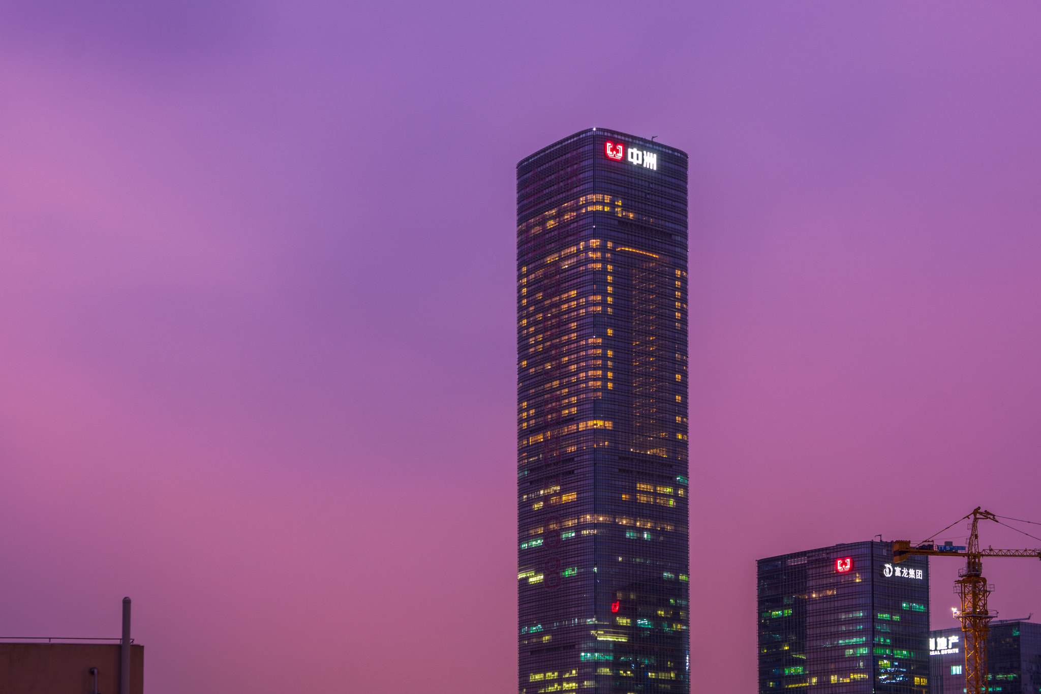 Sony a6000 + Sony E 18-55mm F3.5-5.6 OSS sample photo. Purple photography