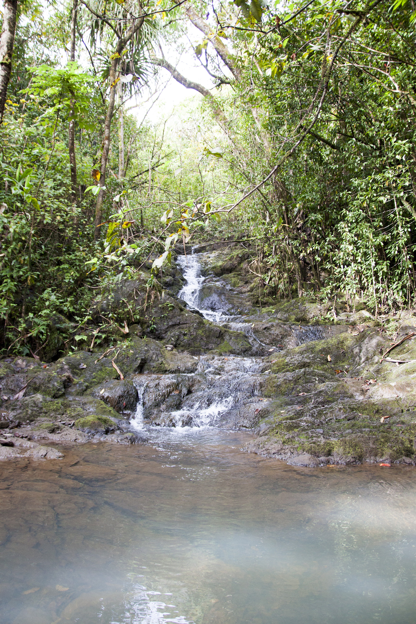Canon EOS 500D (EOS Rebel T1i / EOS Kiss X3) sample photo. Road to paradise photography