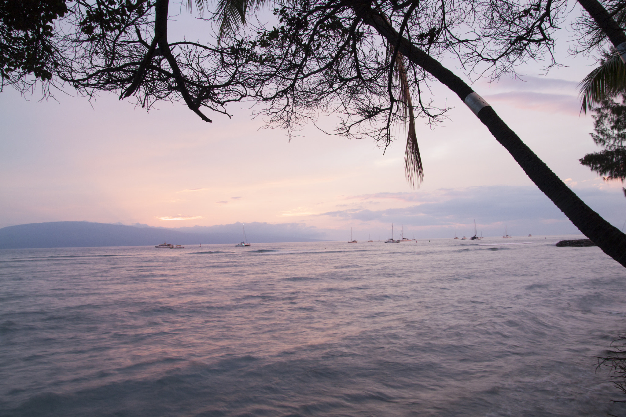 Canon EOS 500D (EOS Rebel T1i / EOS Kiss X3) sample photo. Sunset in lahaina photography