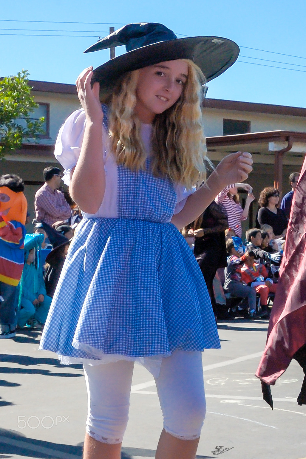 Nikon D70s sample photo. Dorothys a witch o photography