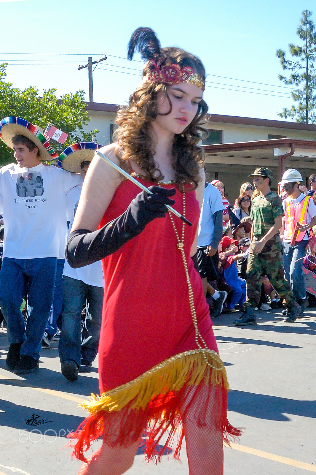 Nikon D70s sample photo. Flapper o photography