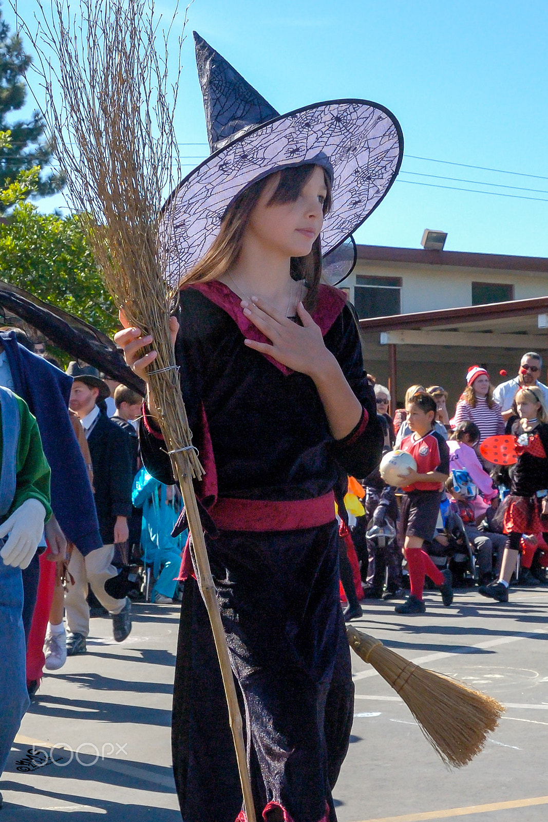 Nikon D70s sample photo. Its a witch o photography