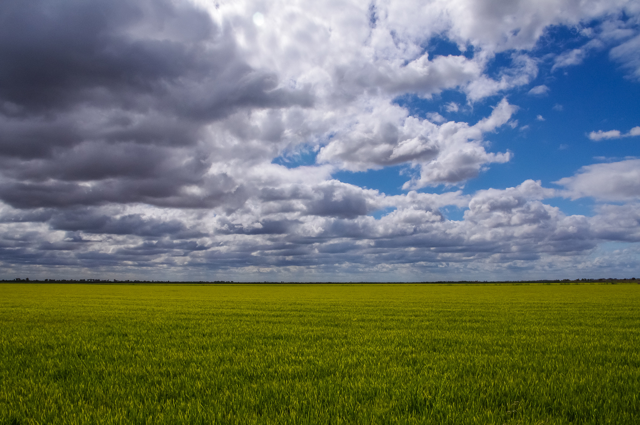 Pentax K-x sample photo. Clouds over green grass photography